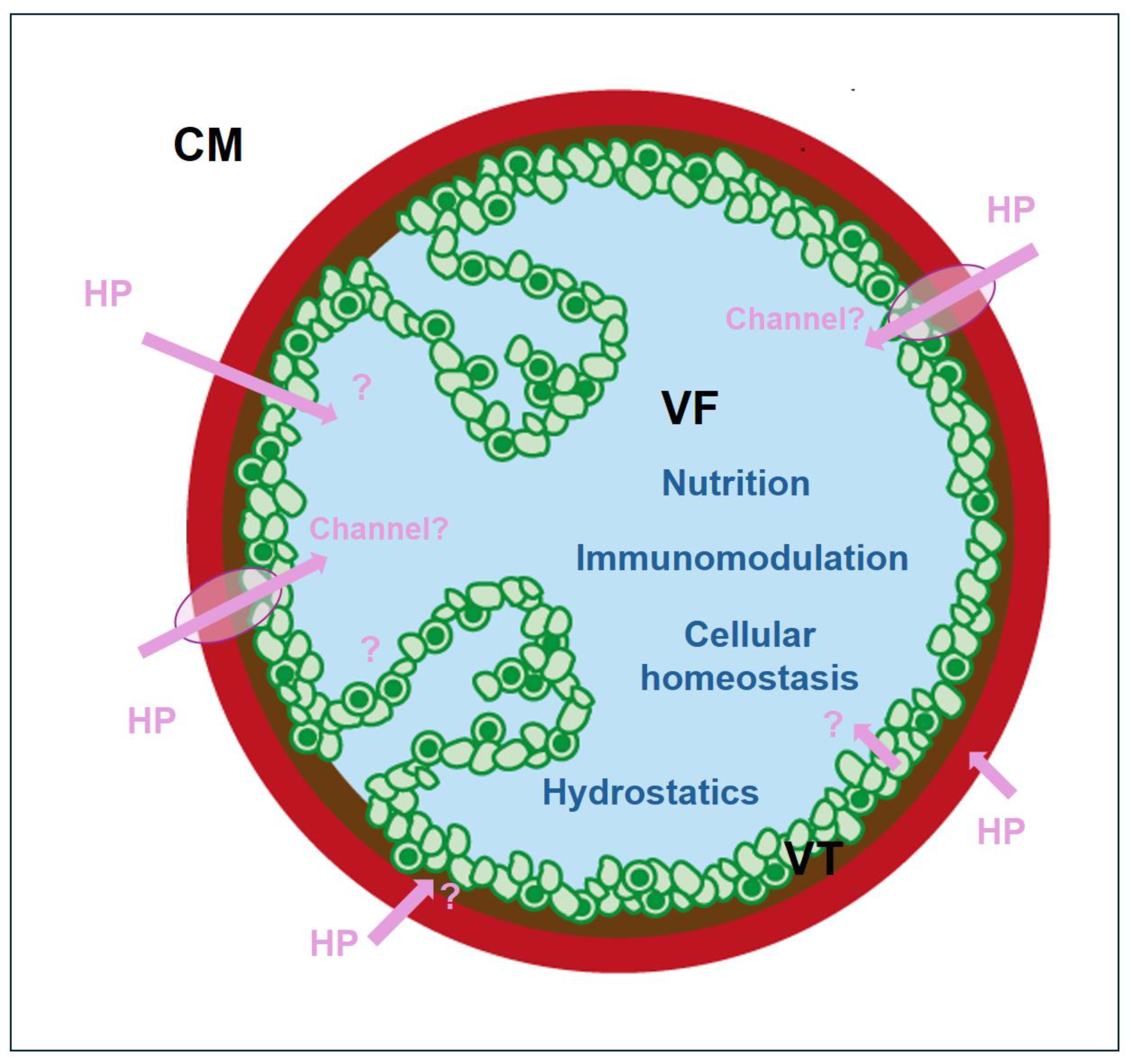 Preprints 151363 g006