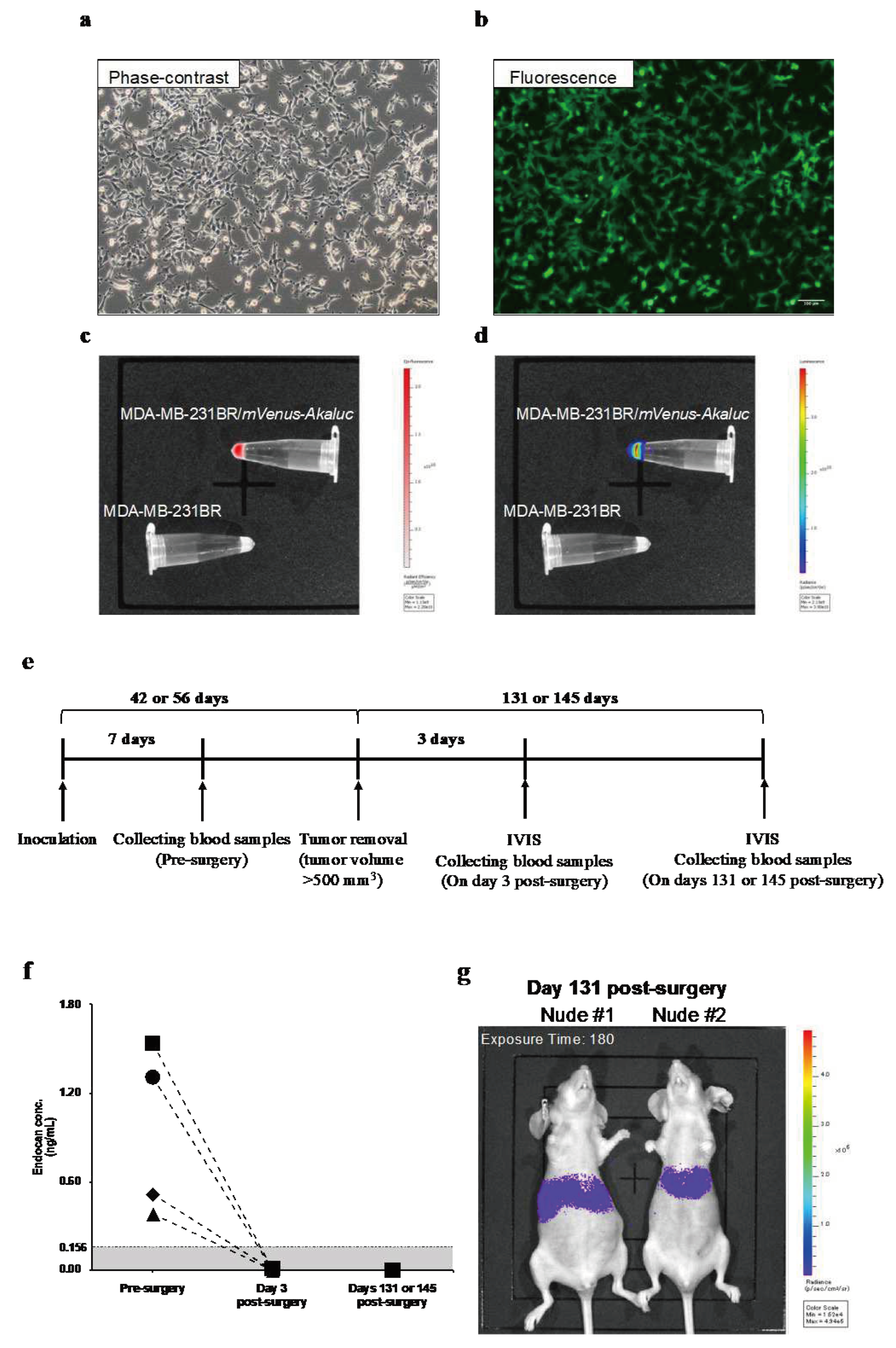 Preprints 96103 g001