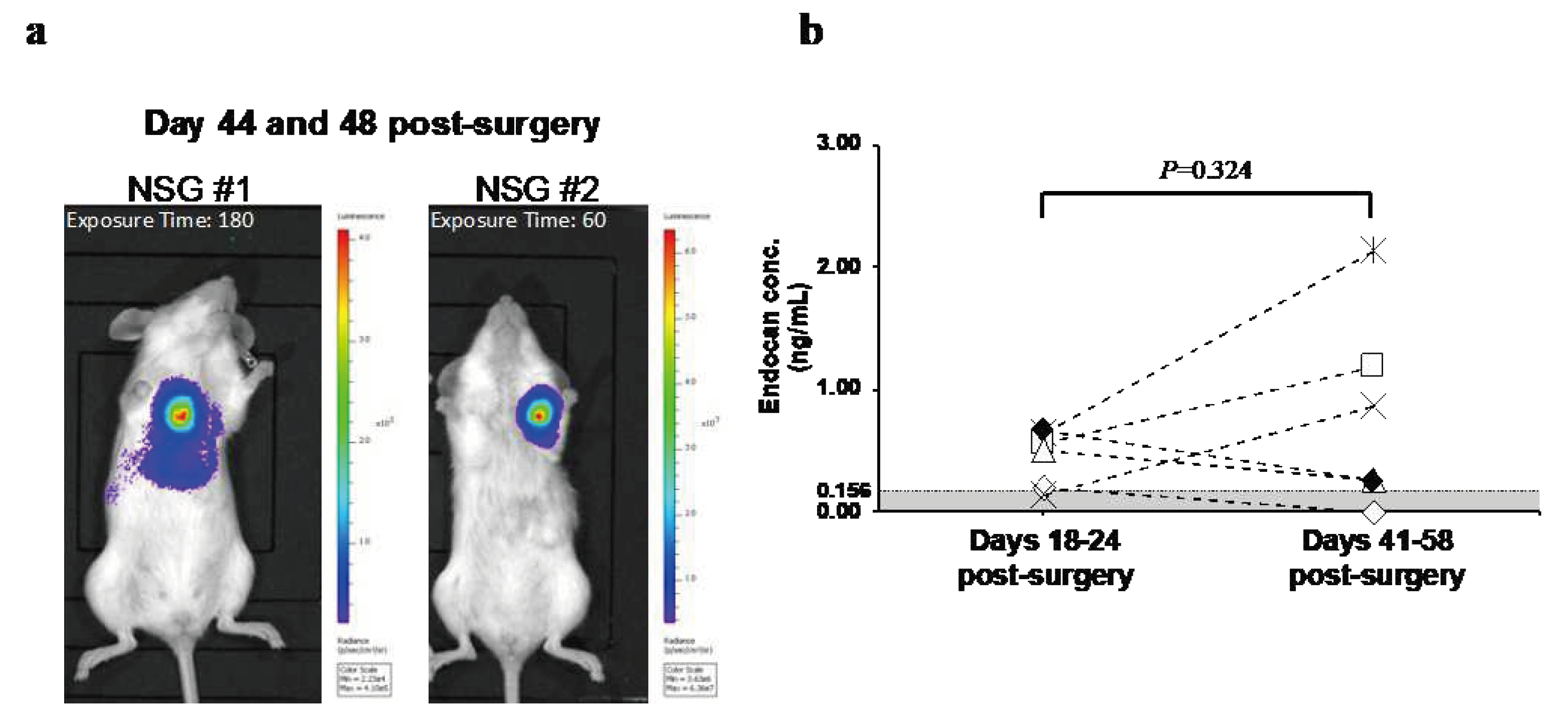 Preprints 96103 g003