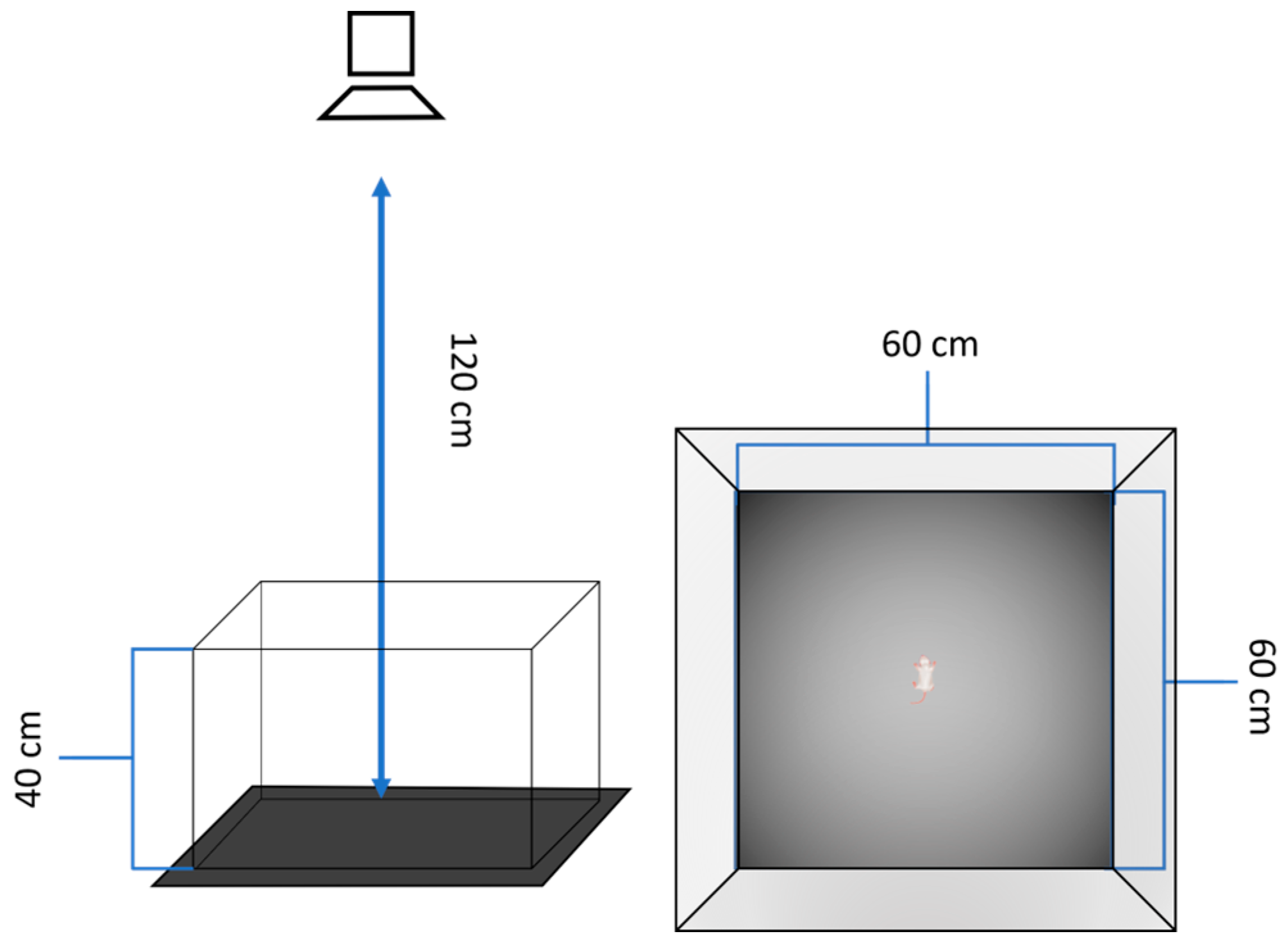 Preprints 154955 g001