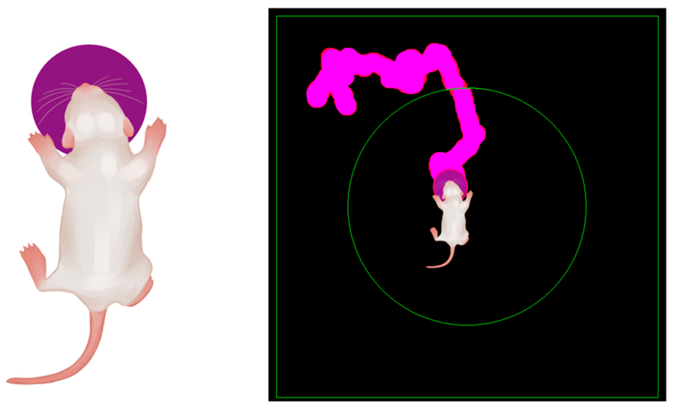 Preprints 154955 g002