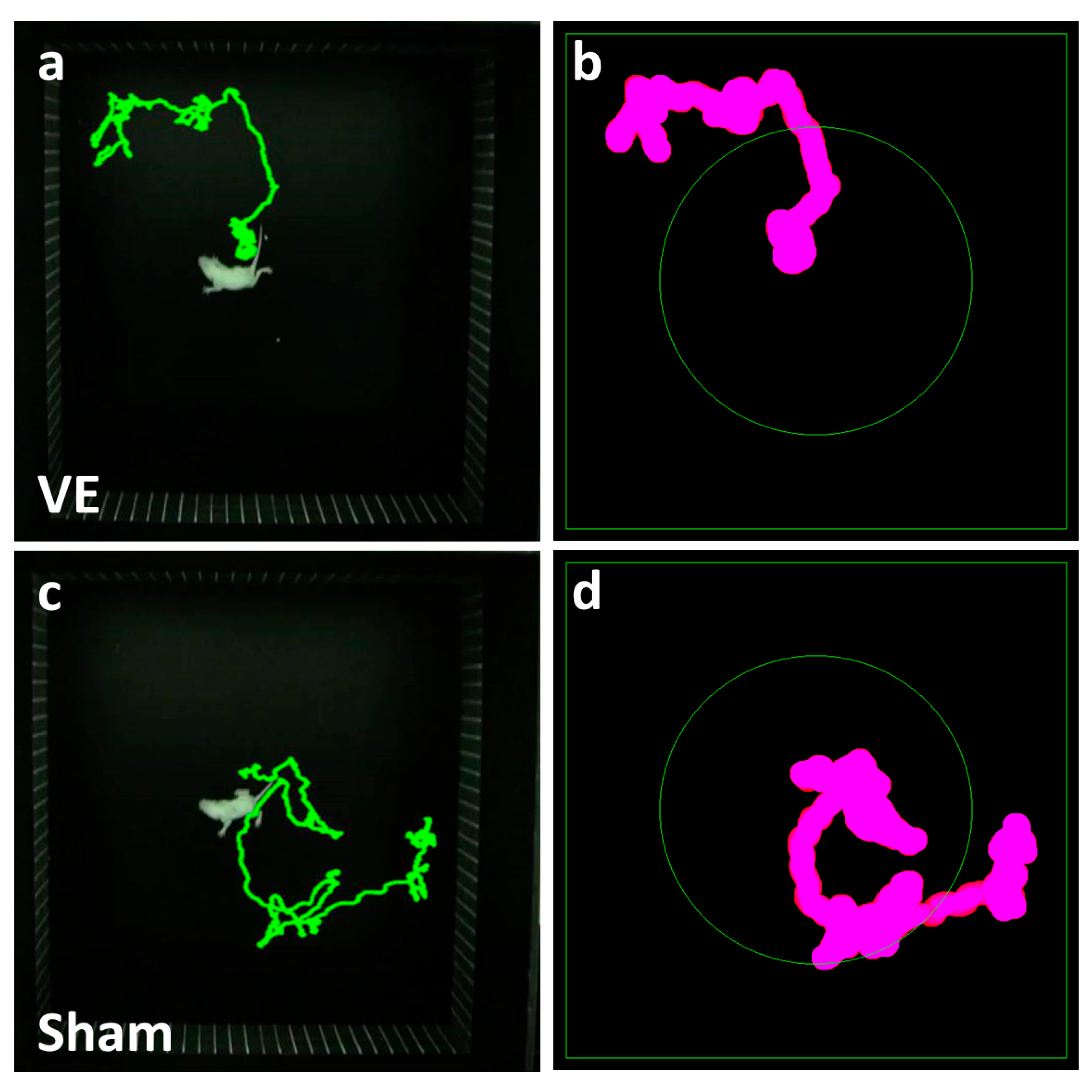 Preprints 154955 g004