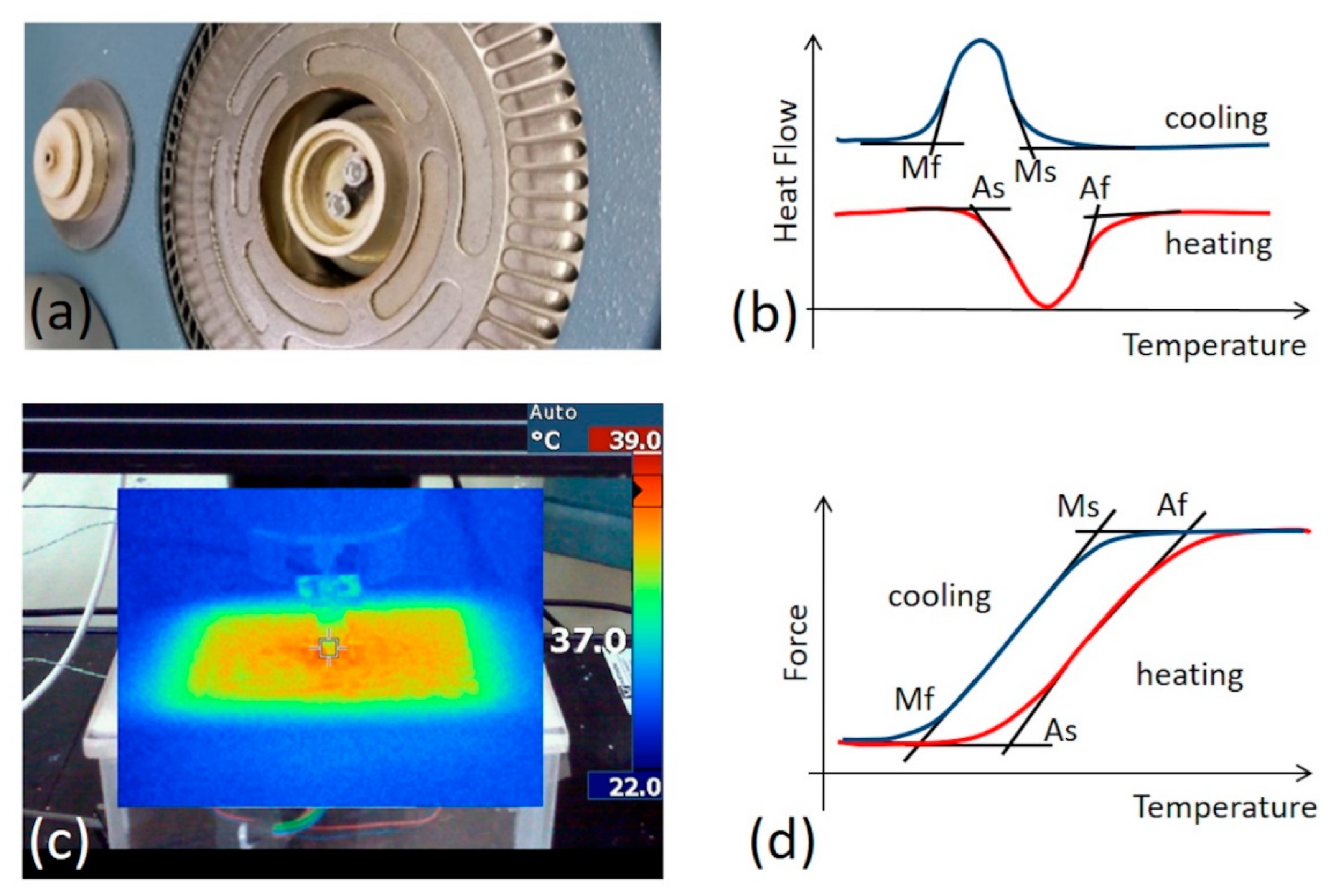 Preprints 112341 g001
