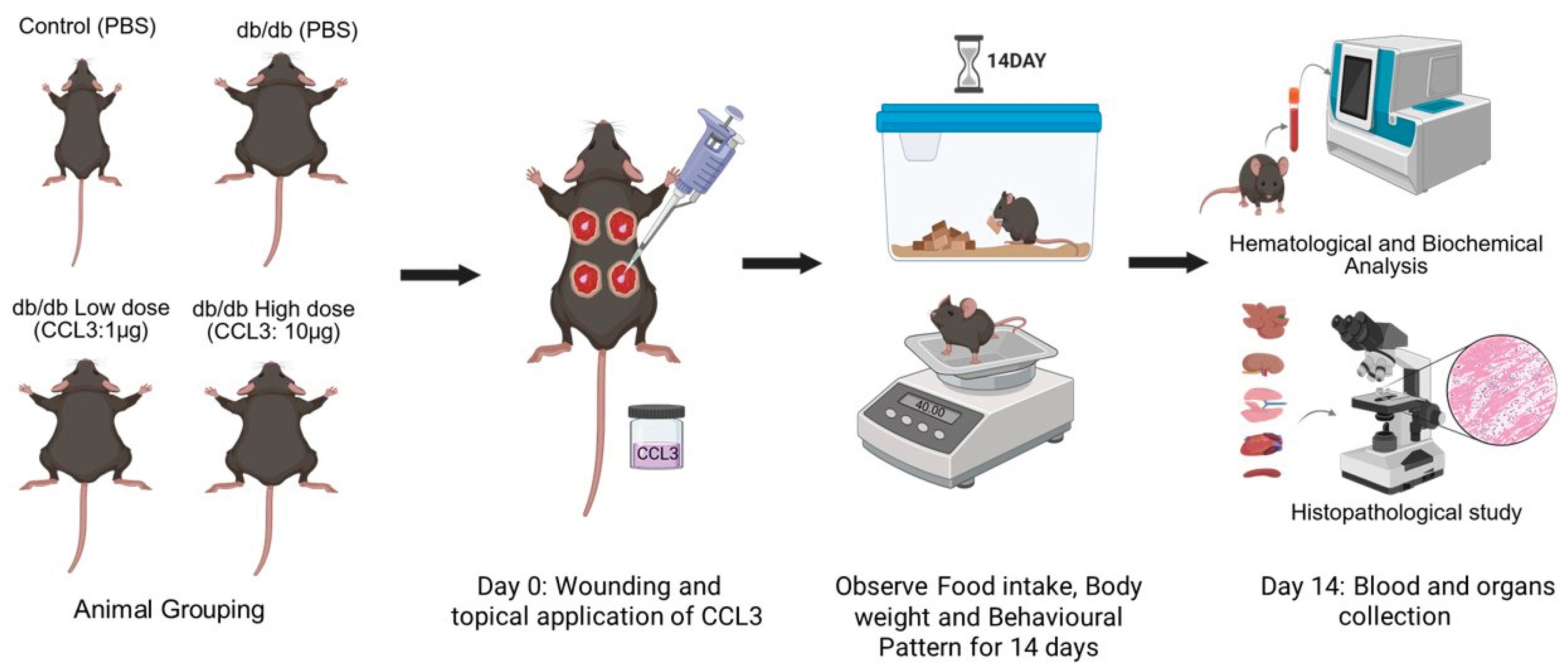 Preprints 191273 g001