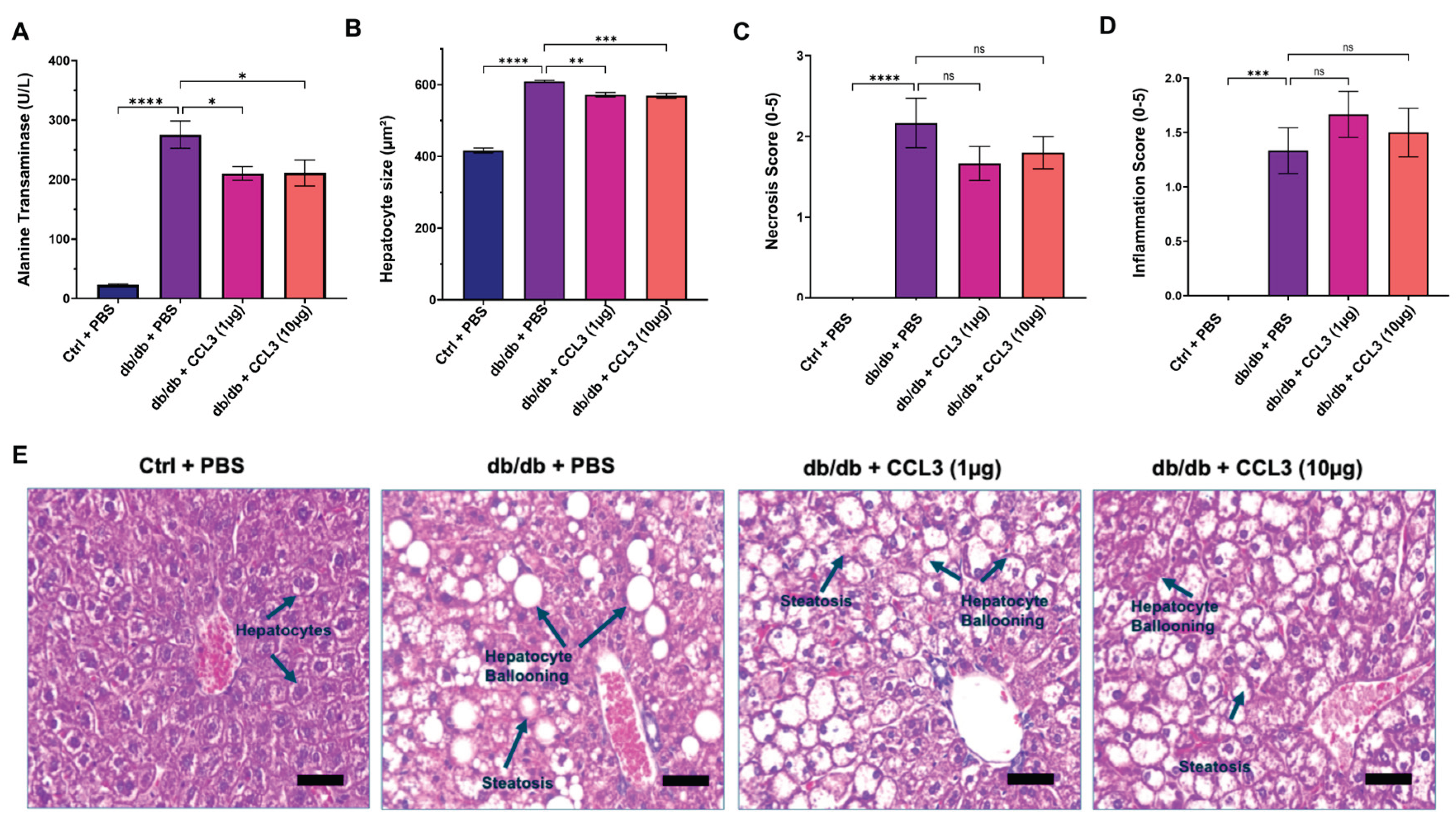 Preprints 191273 g004