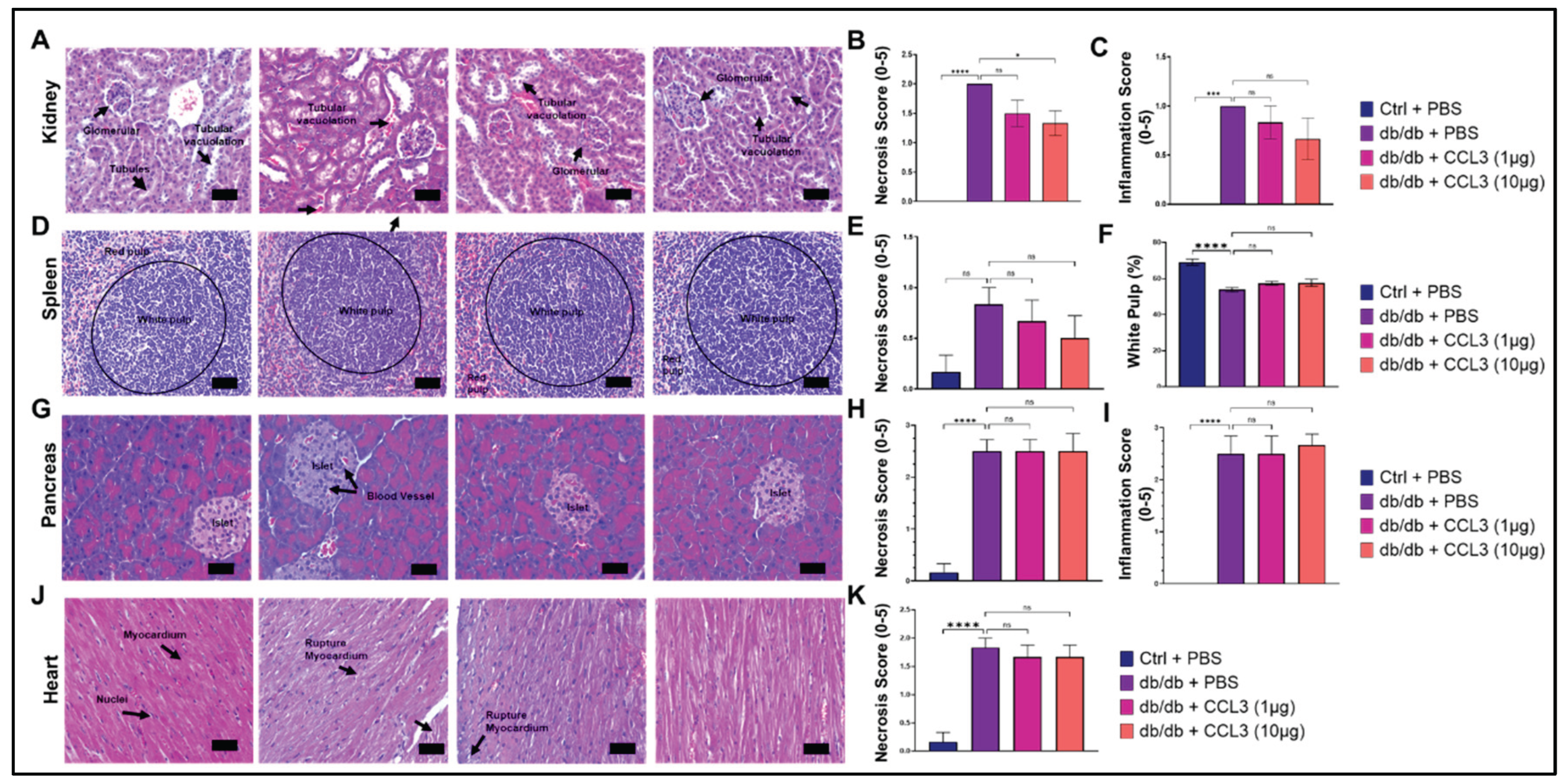 Preprints 191273 g005