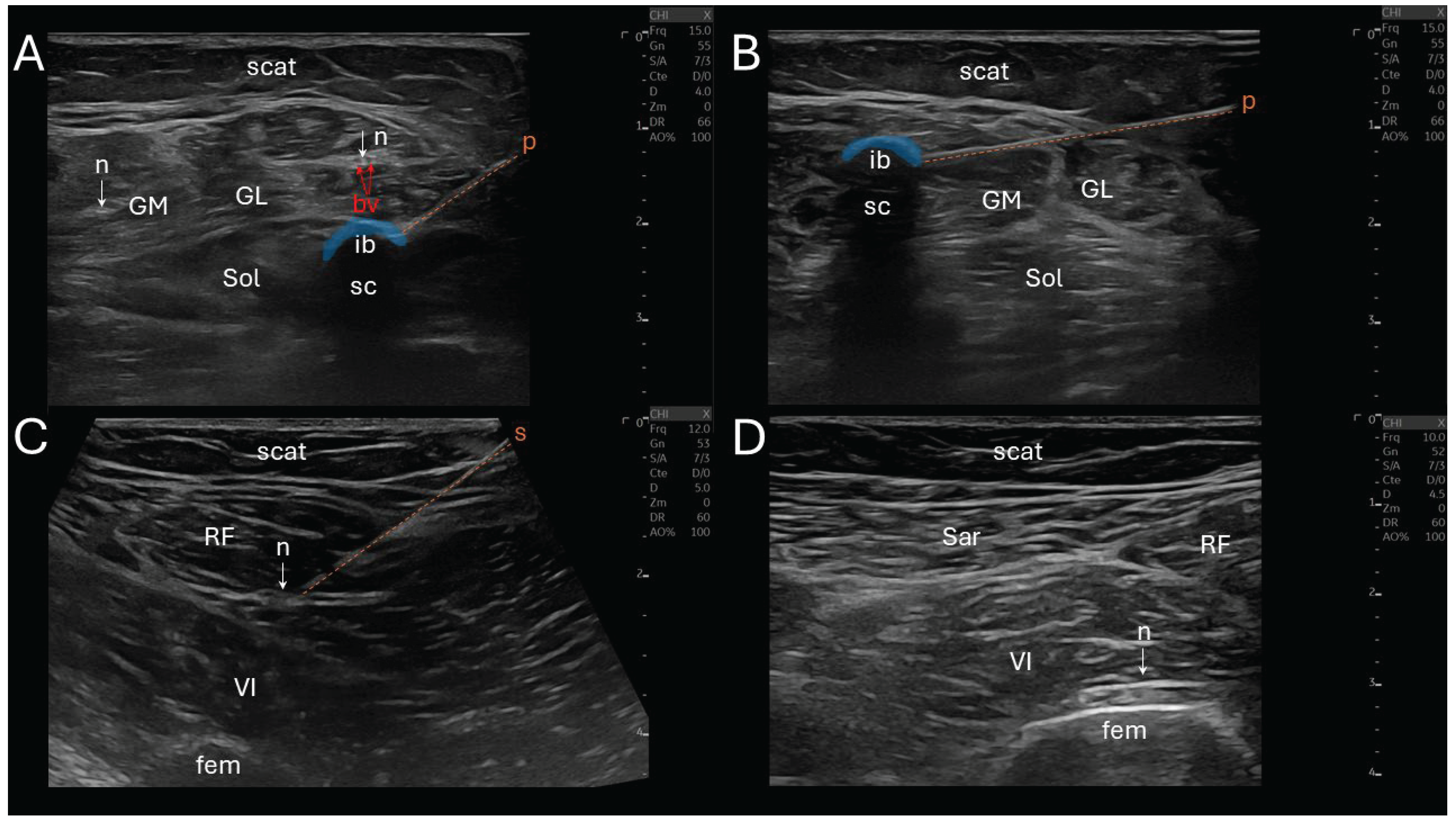 Preprints 186519 g002