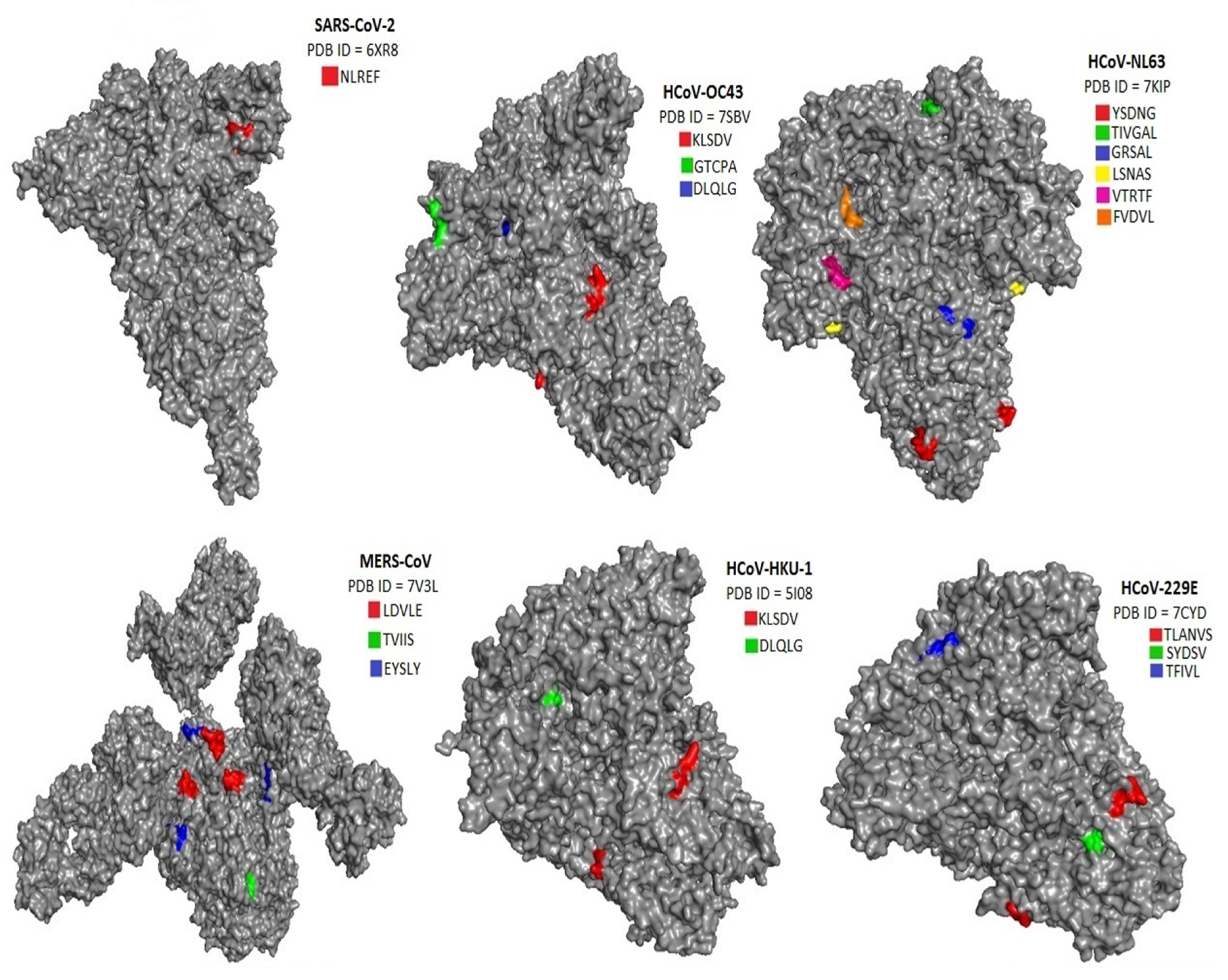 Preprints 78610 g002