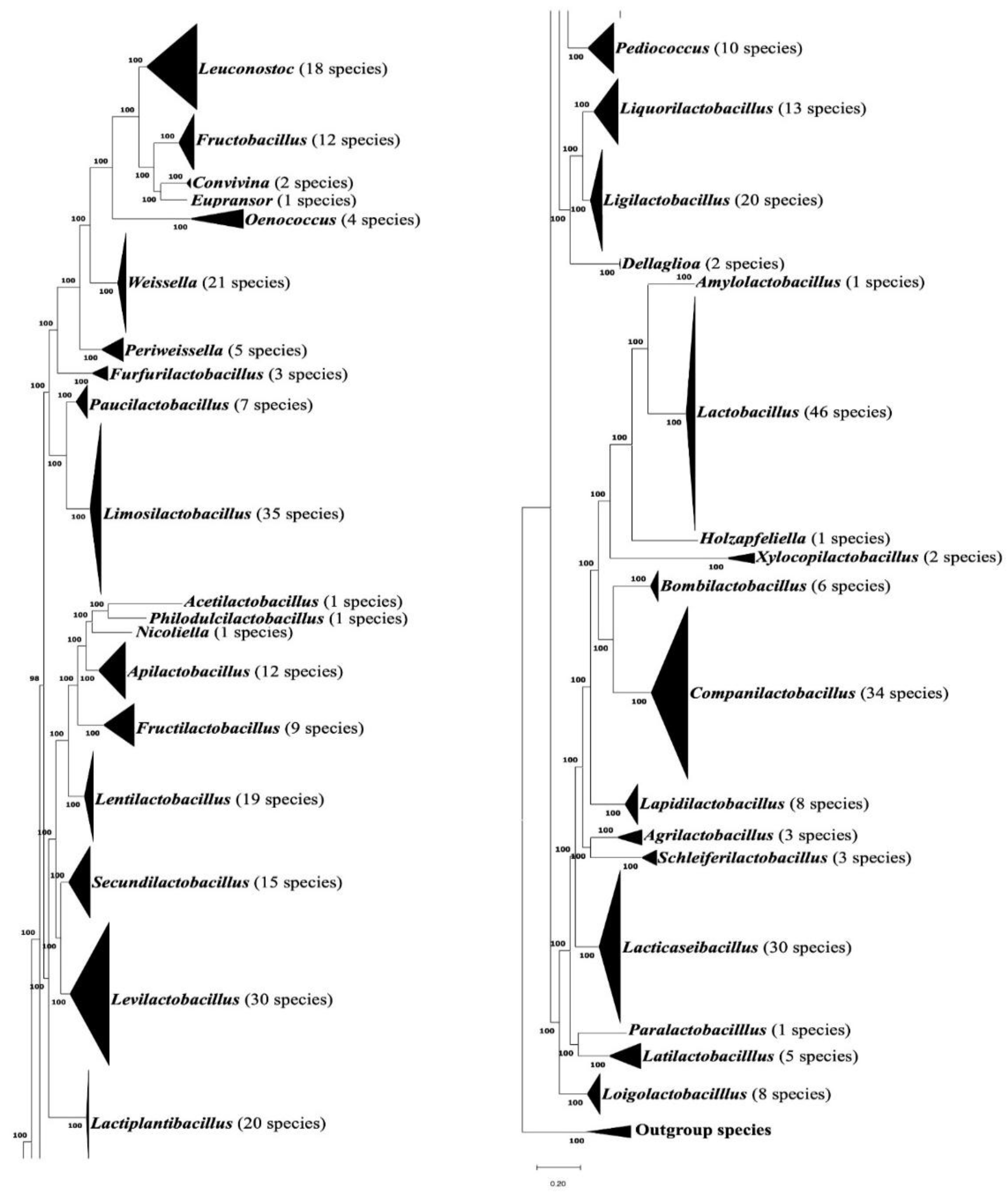 Preprints 183738 g001