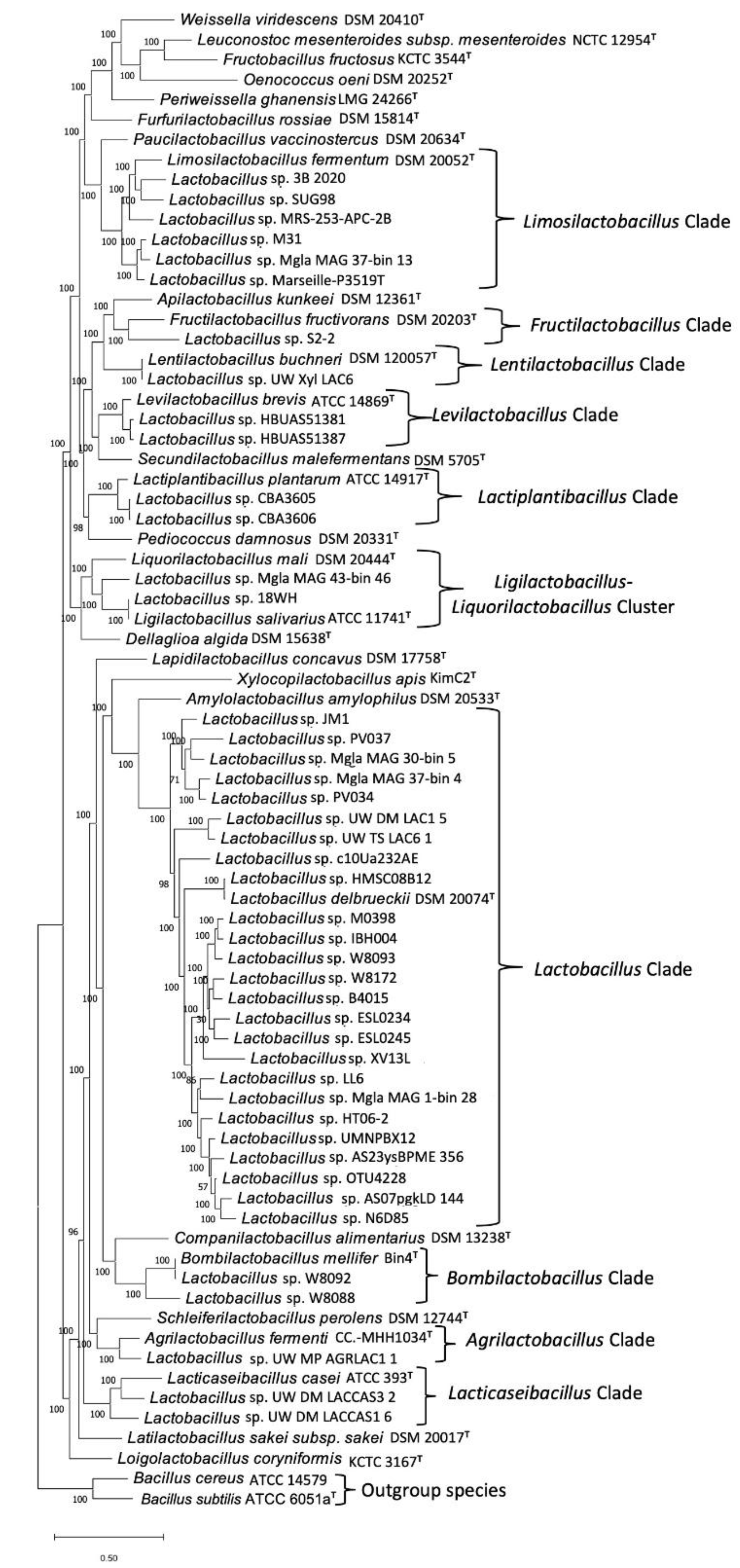 Preprints 183738 g007