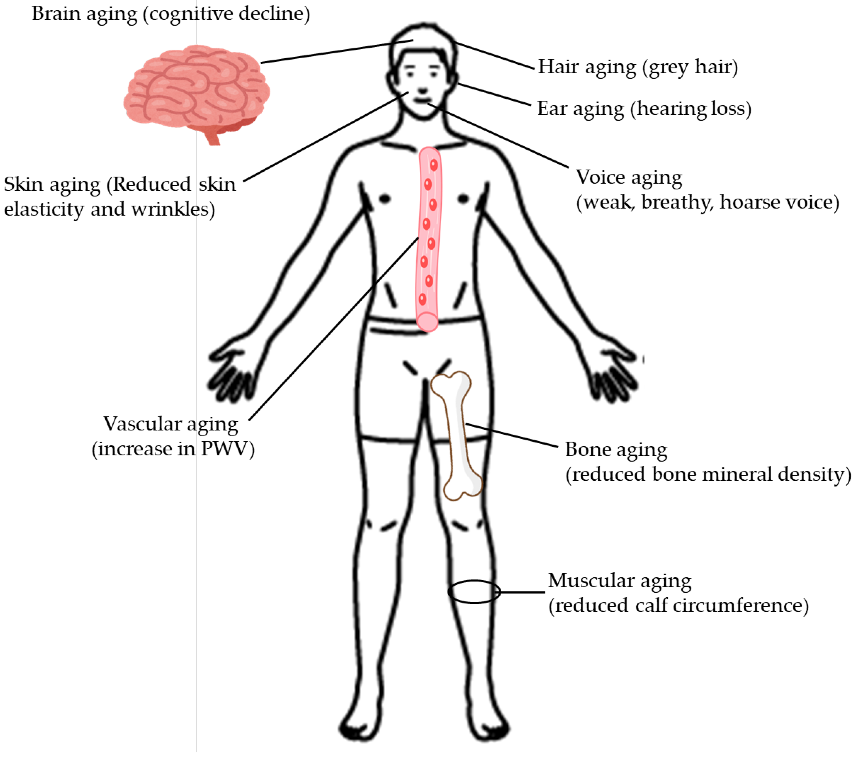Preprints 172333 g001