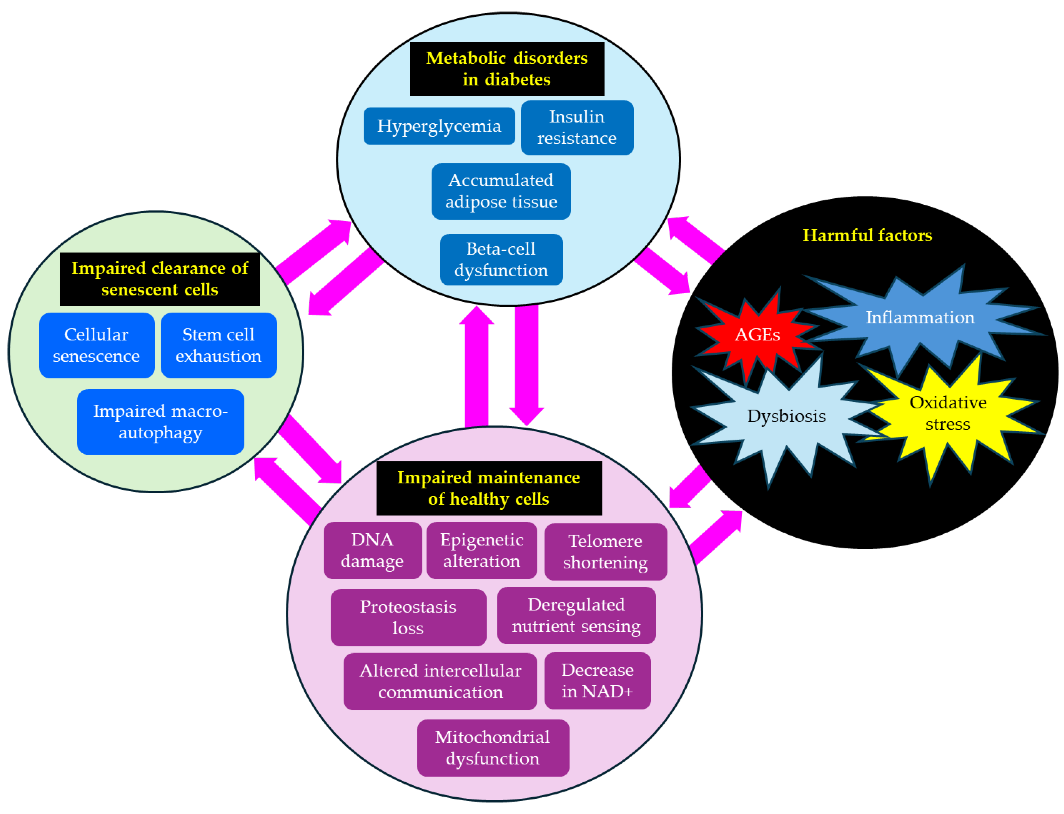 Preprints 172333 g002