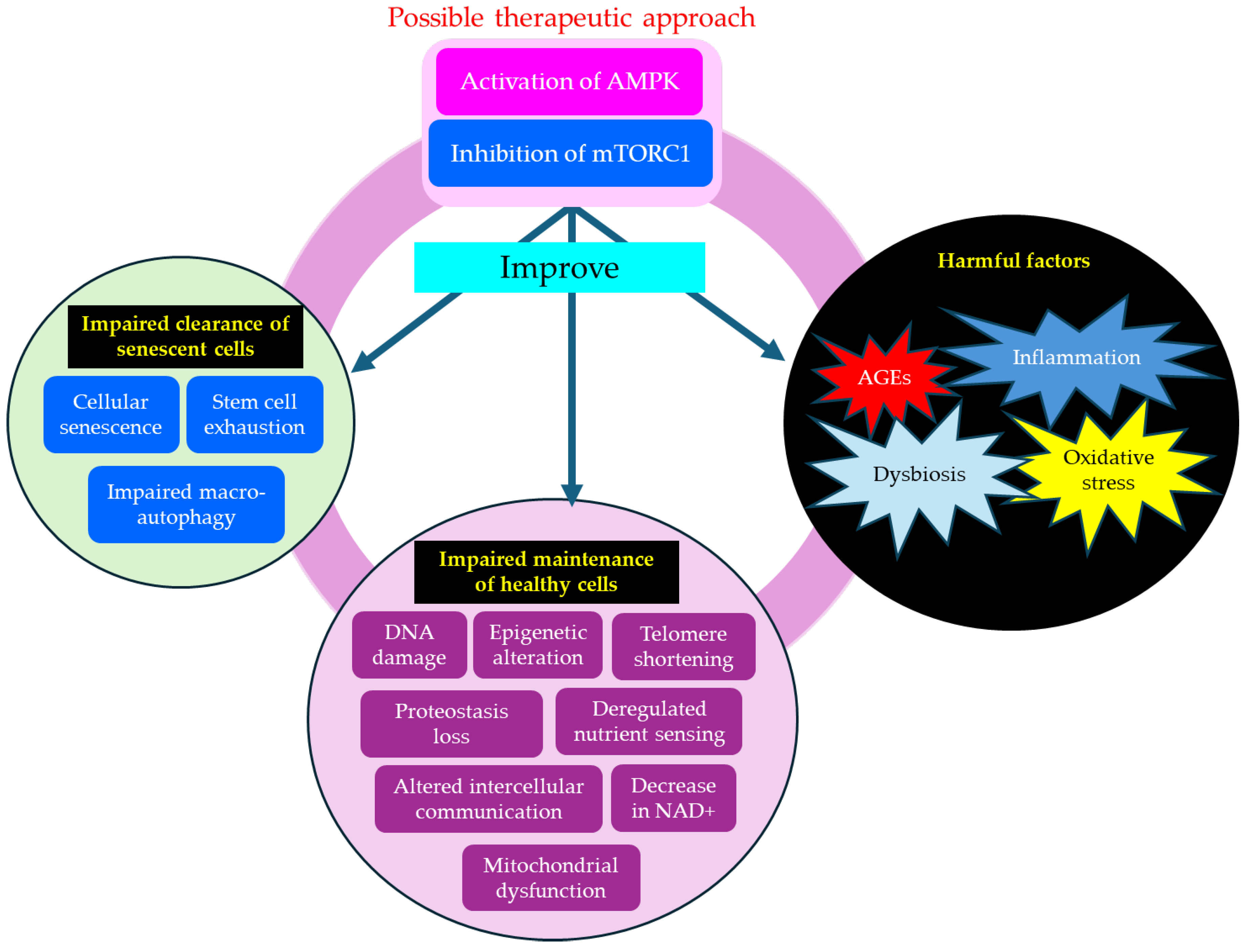 Preprints 172333 g004