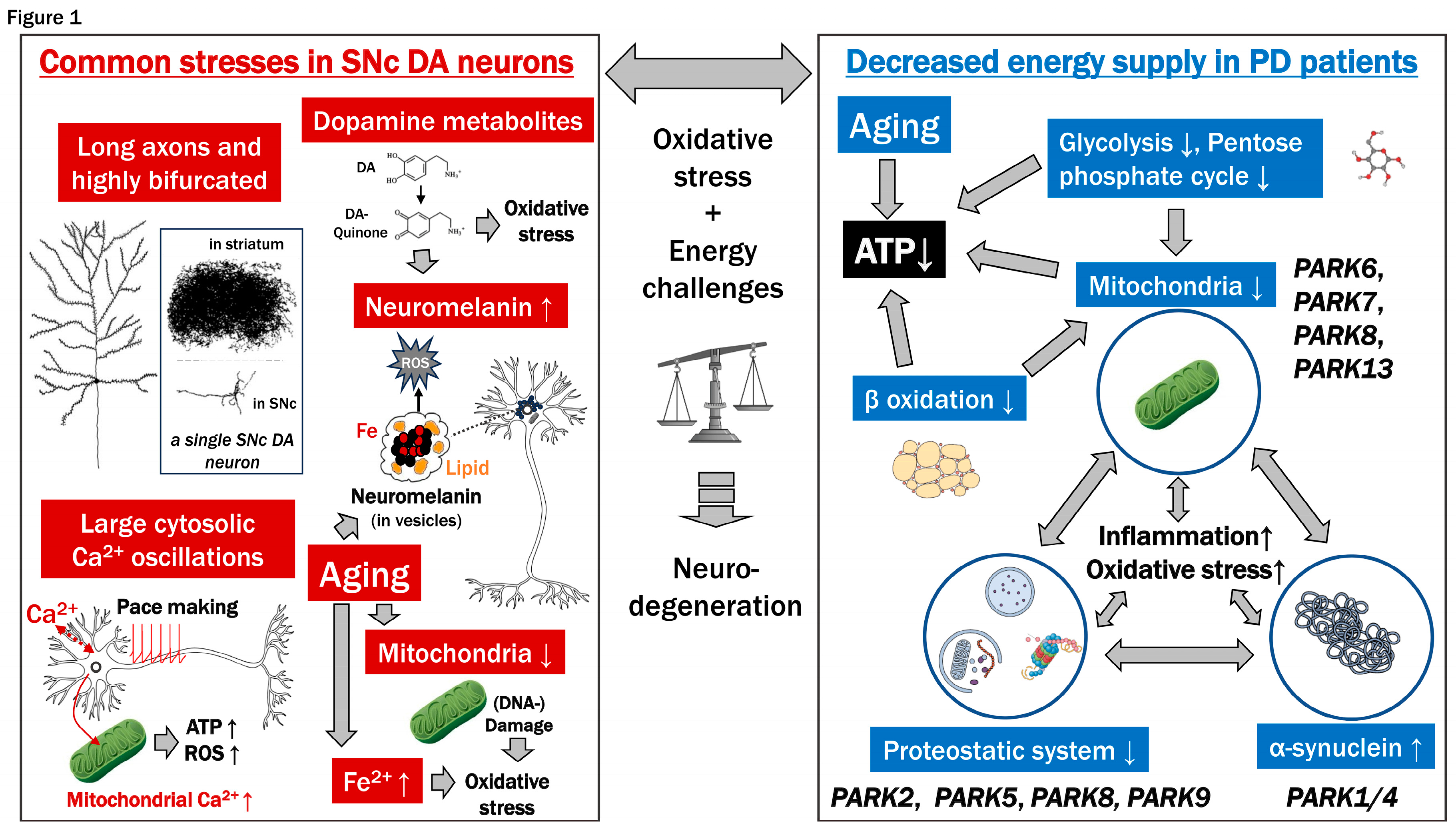 Preprints 94926 g001