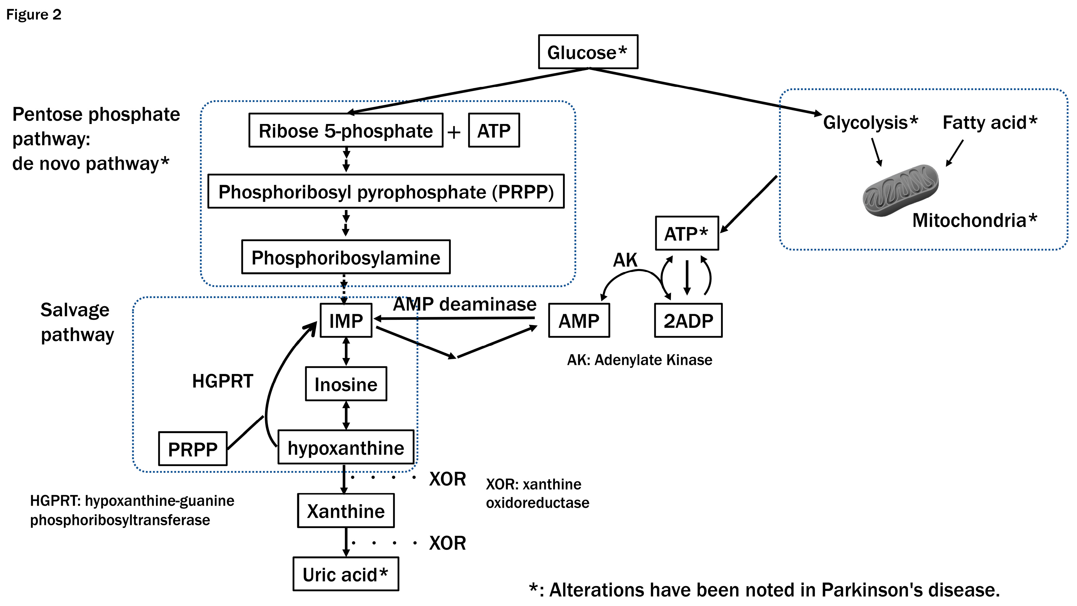 Preprints 94926 g002