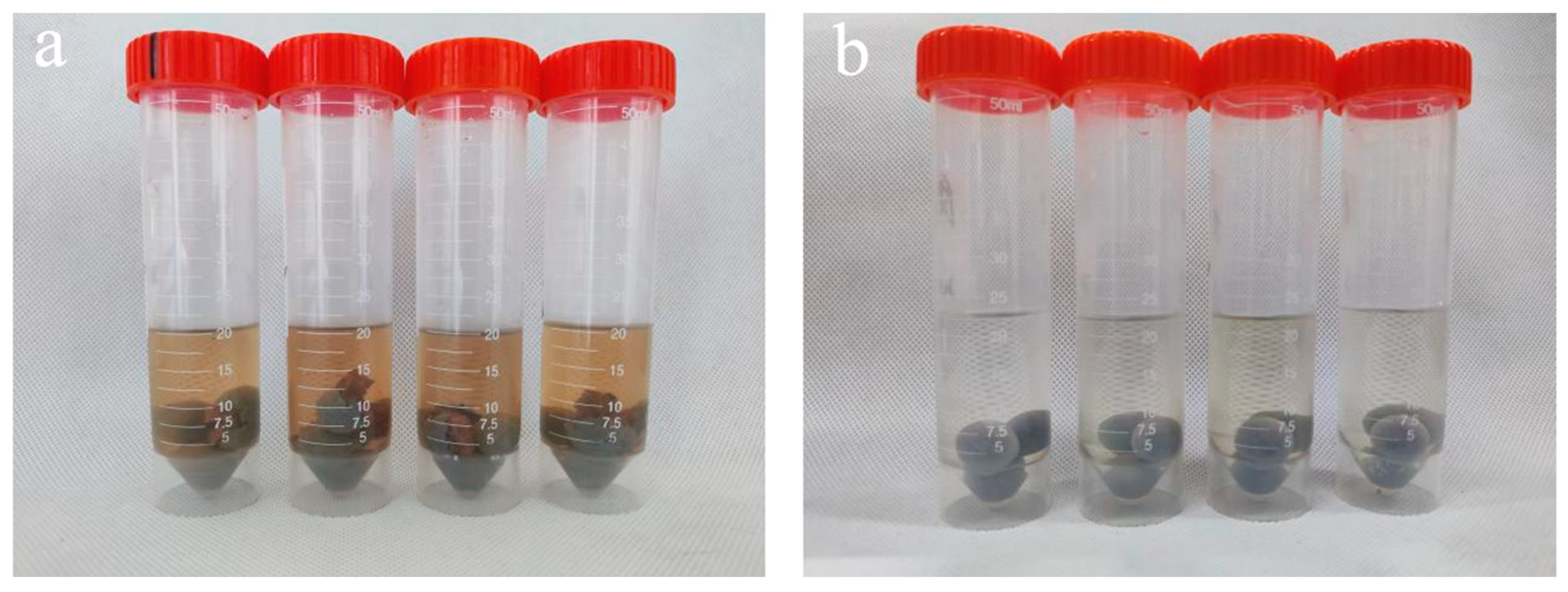 Preprints 98957 g003