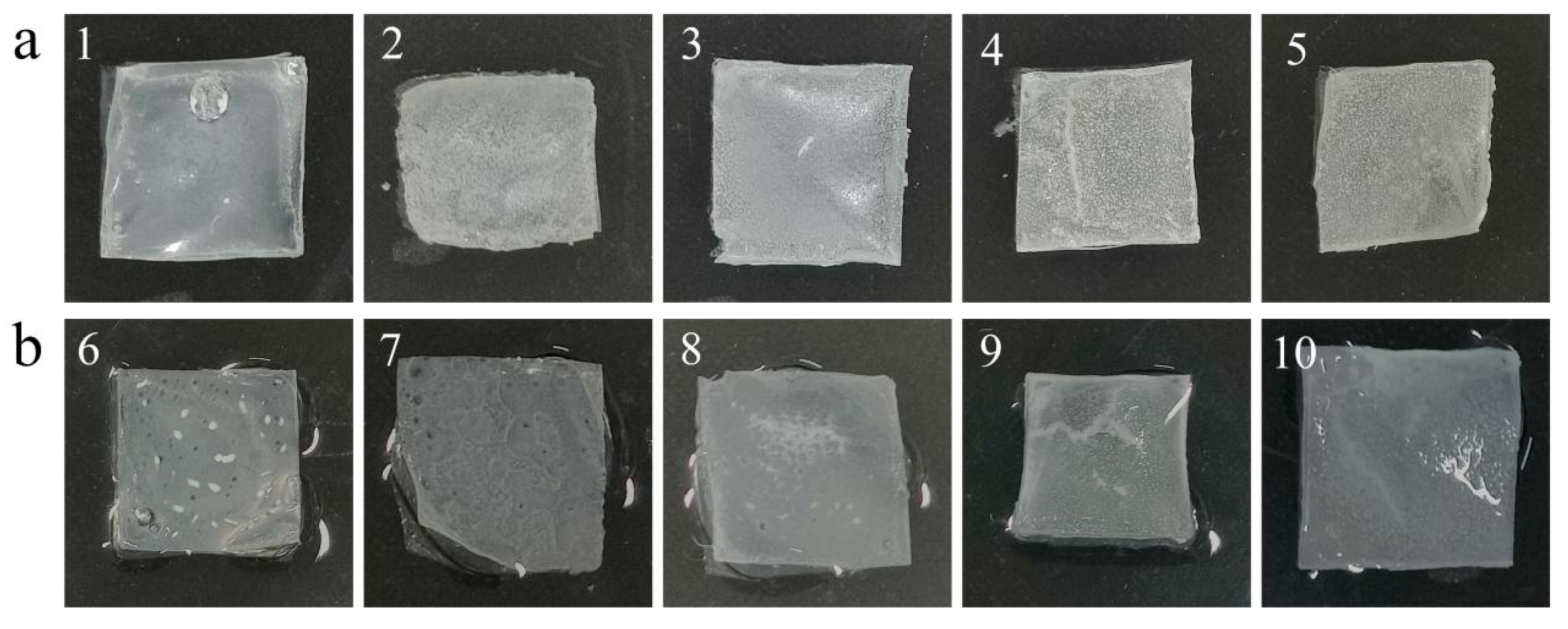 Preprints 98957 g006