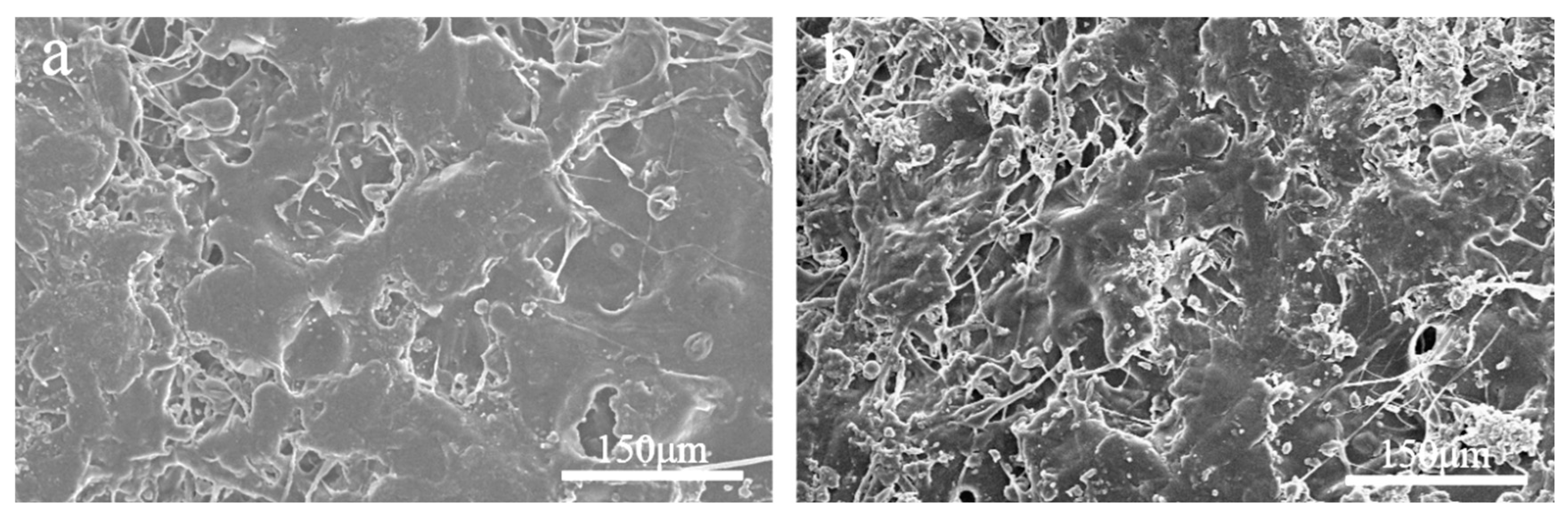 Preprints 98957 g009