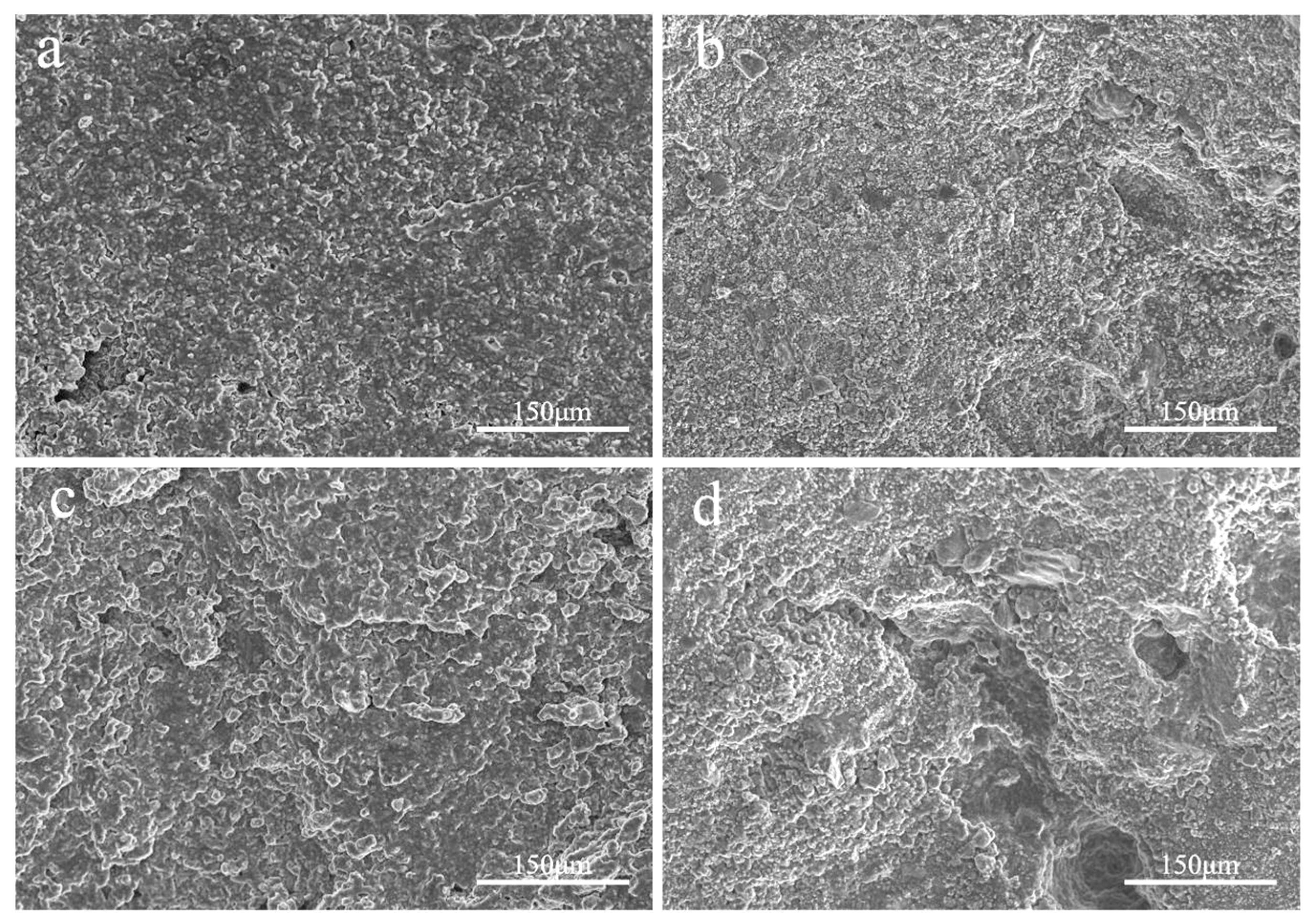 Preprints 98957 g010