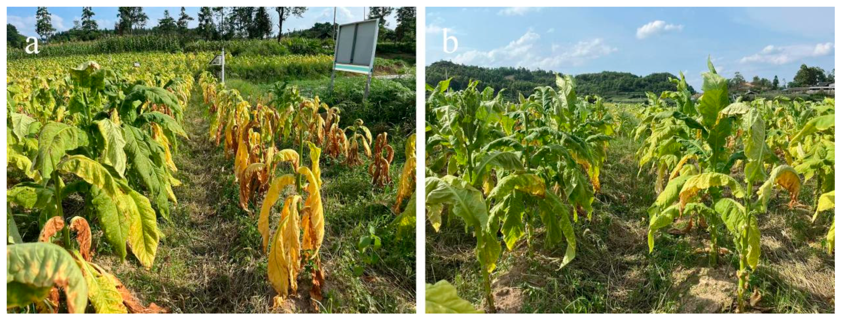 Preprints 98957 g014