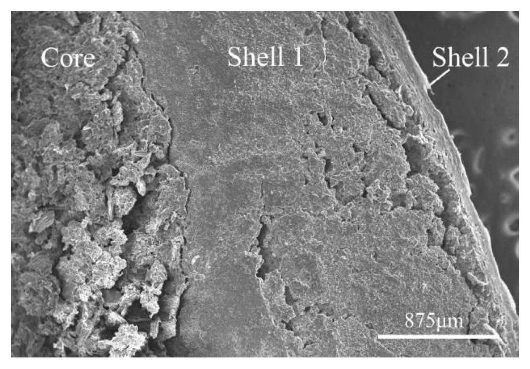 Preprints 98957 g019