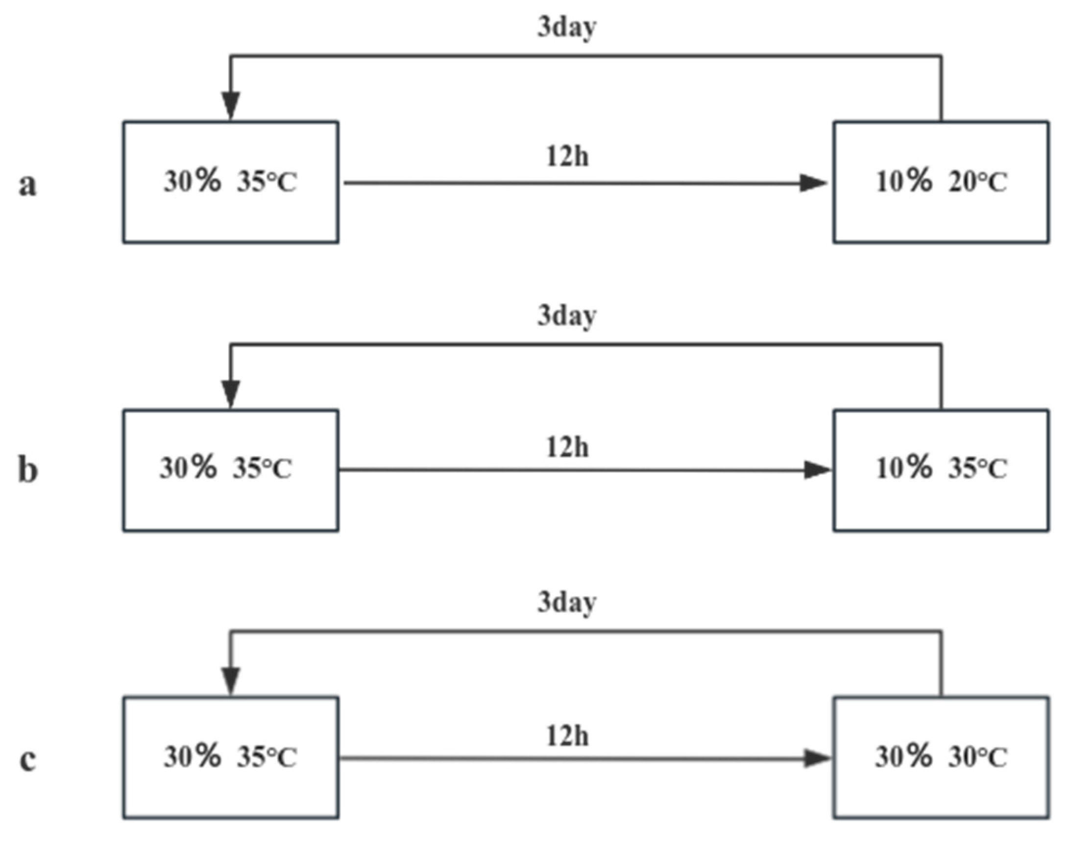 Preprints 98957 g020