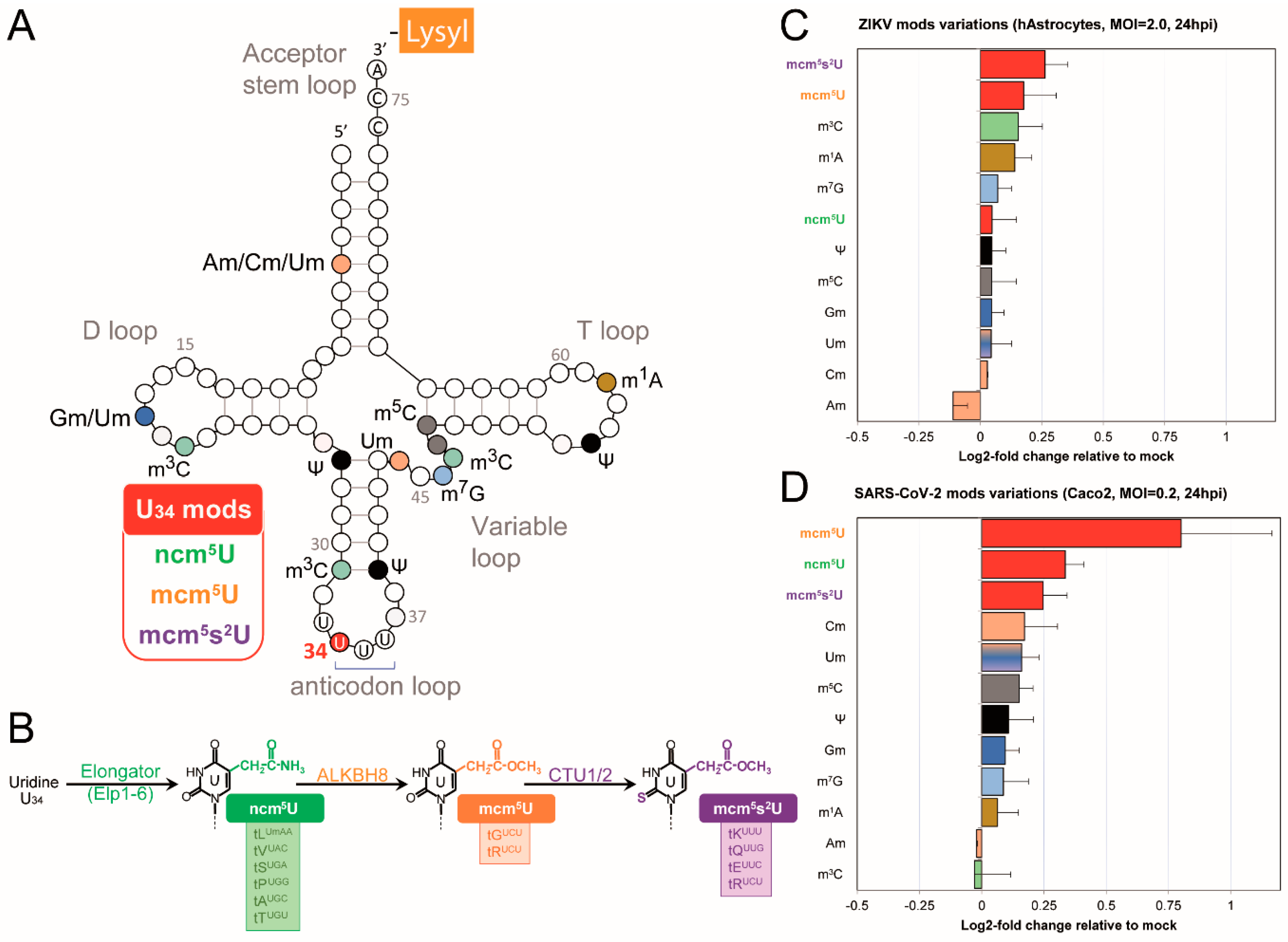 Preprints 164374 g003