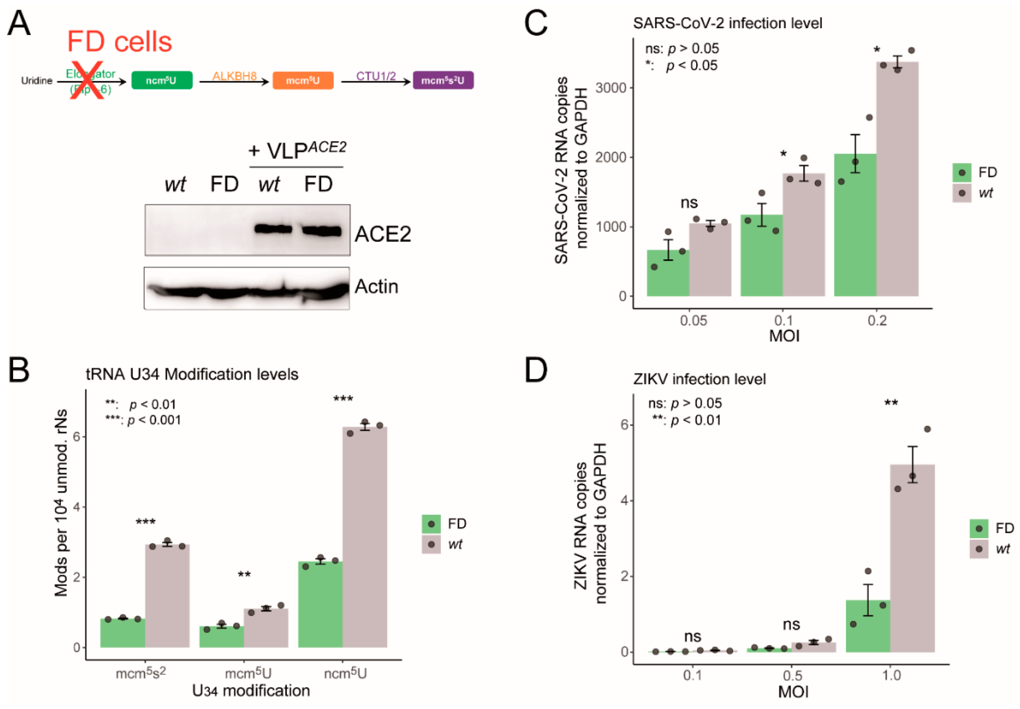 Preprints 164374 g004