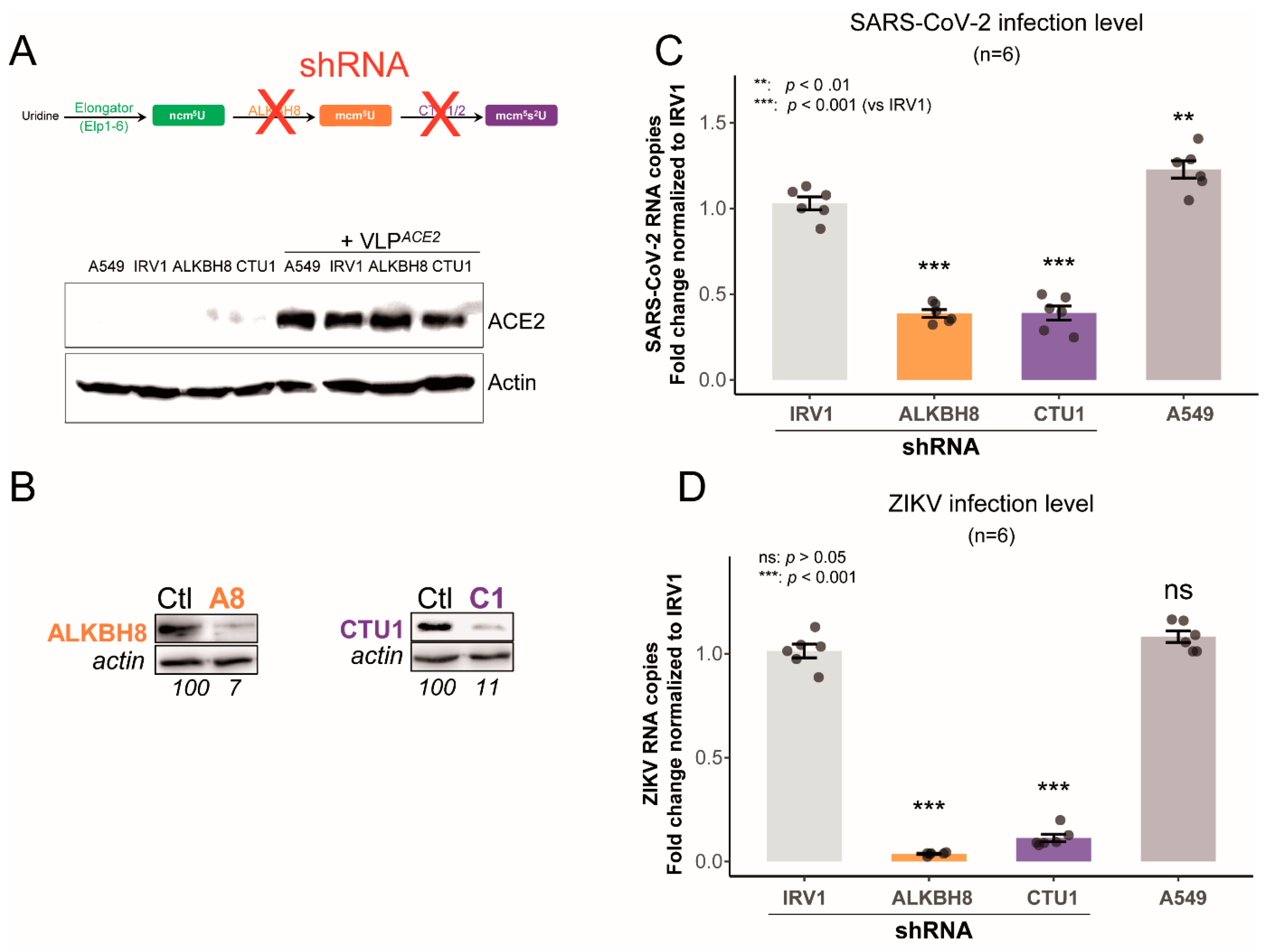 Preprints 164374 g005