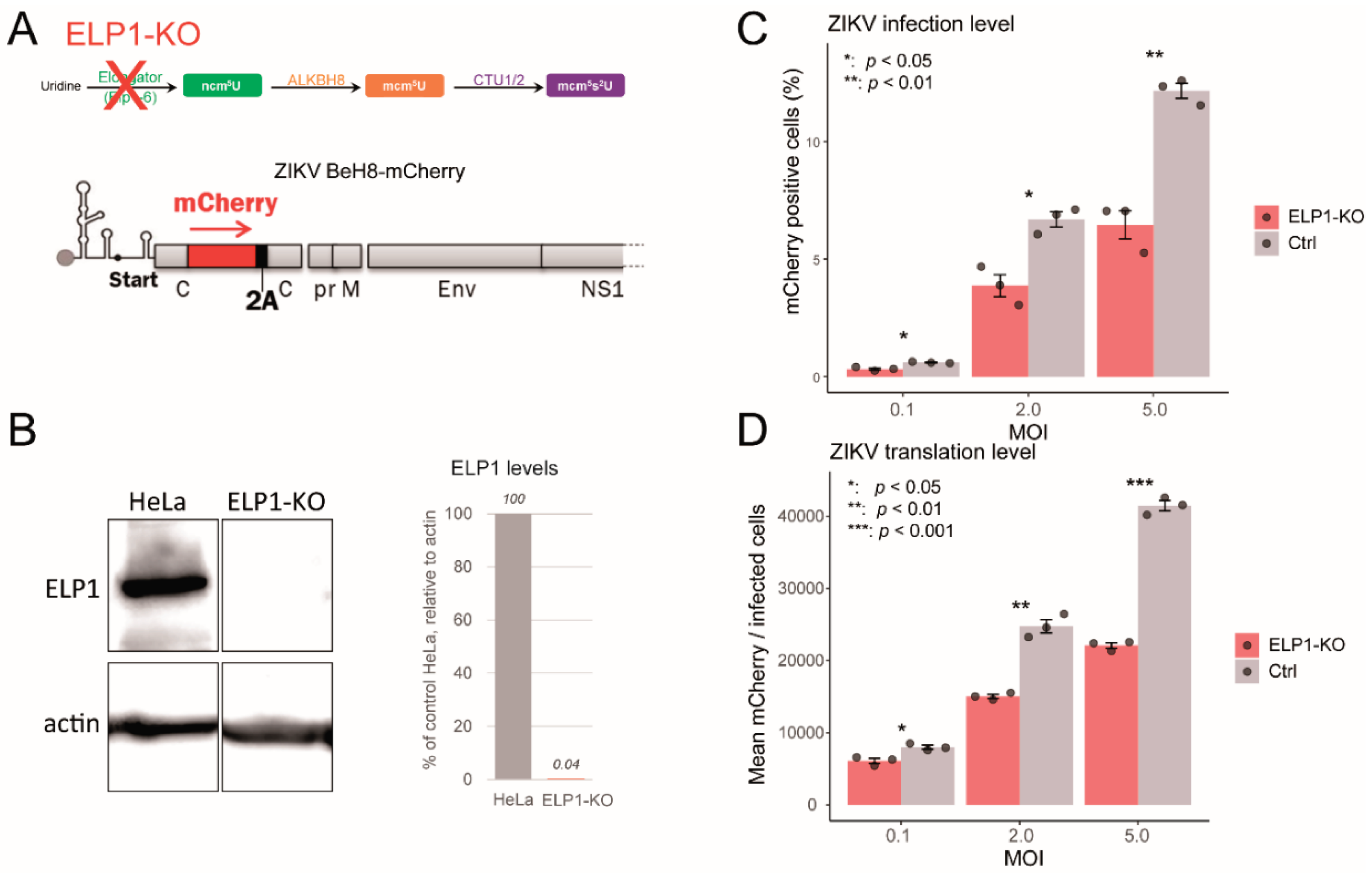 Preprints 164374 g006