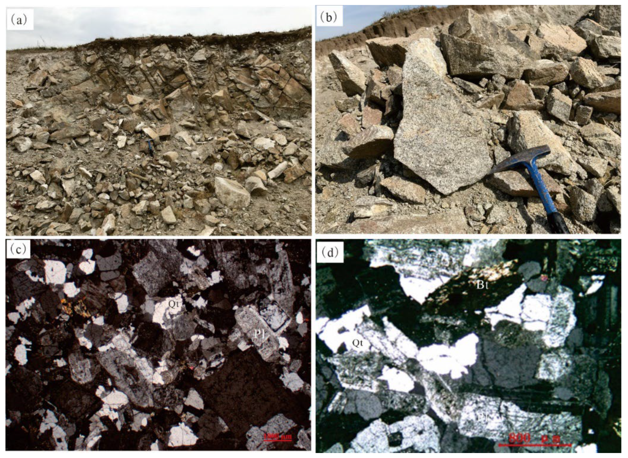 Preprints 108938 g002