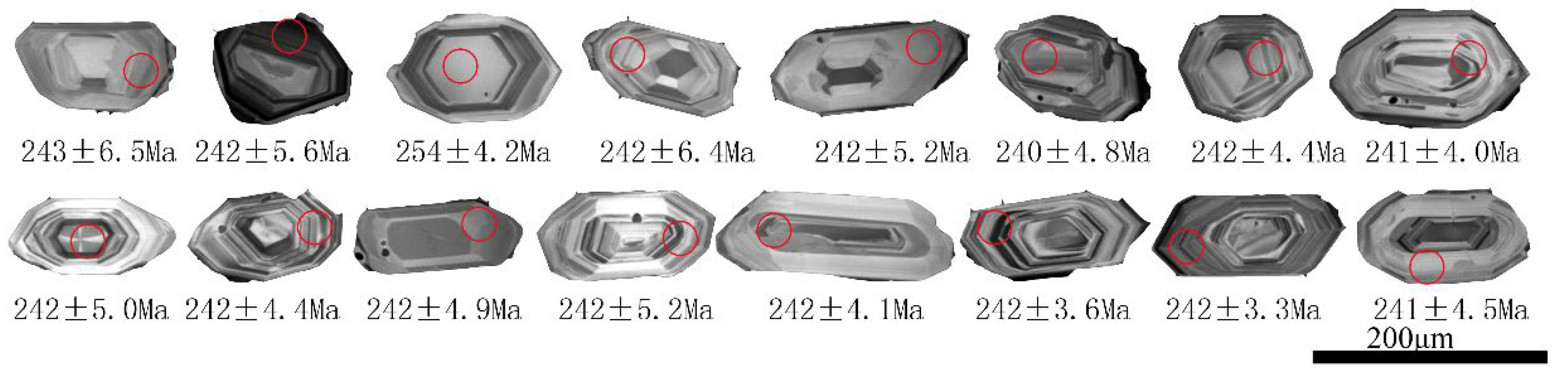 Preprints 108938 g003