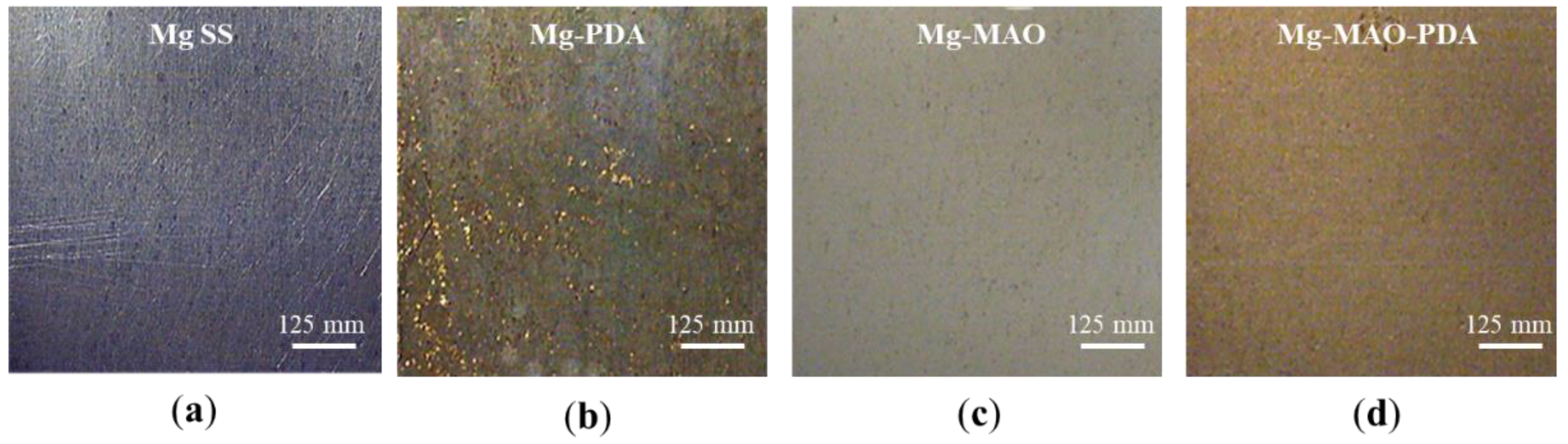 Preprints 144974 g003
