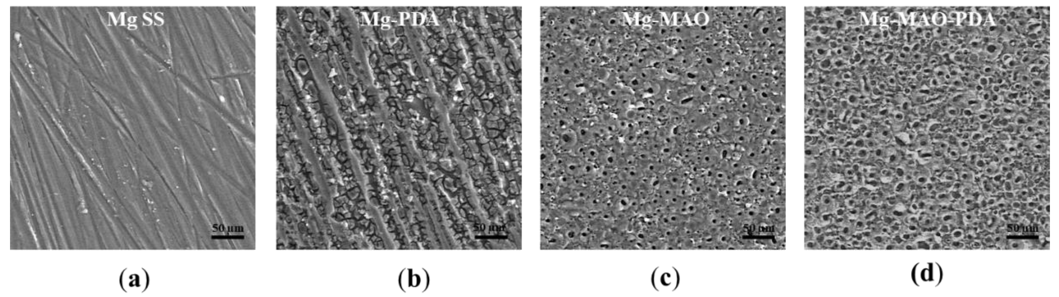 Preprints 144974 g004