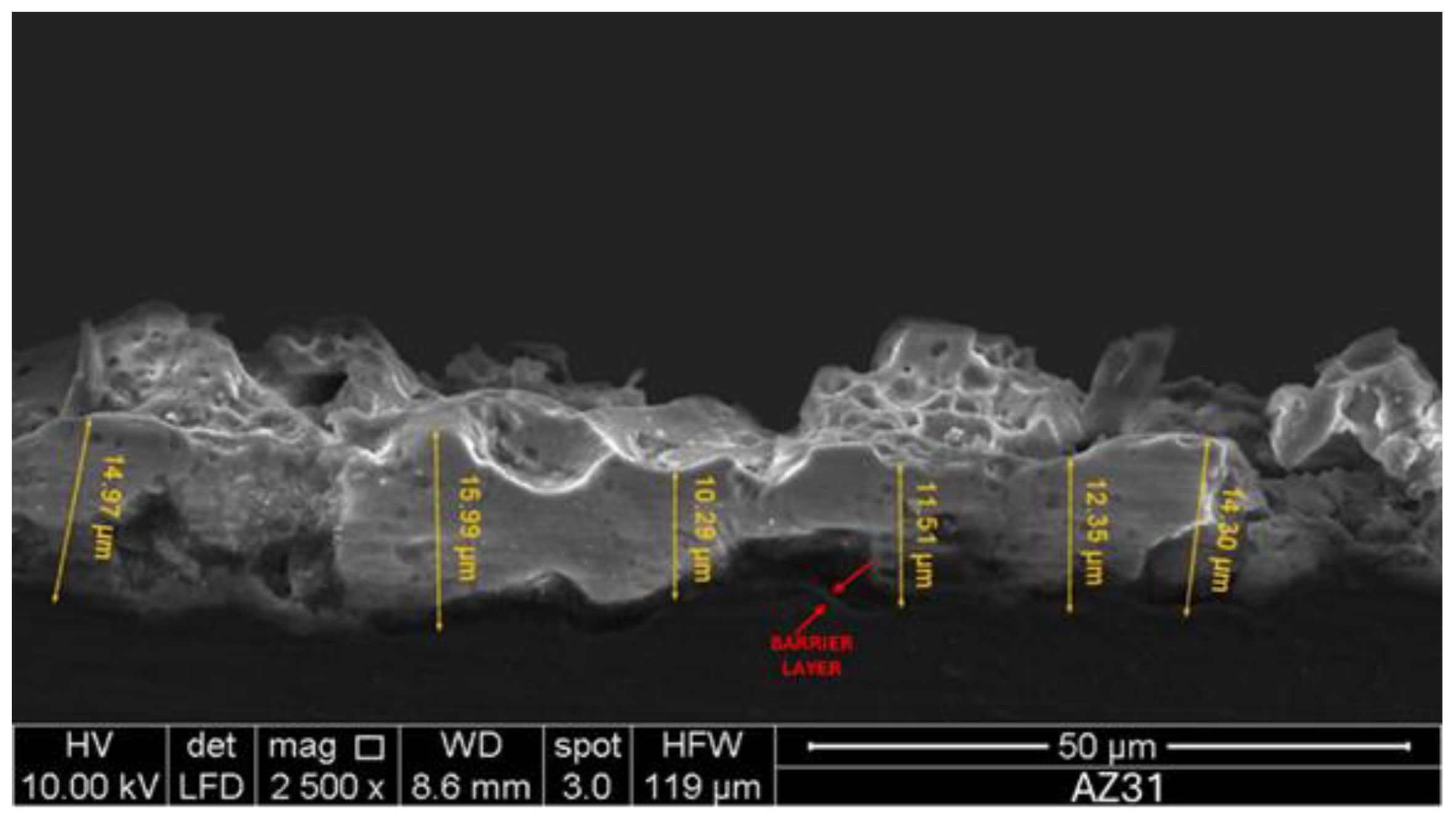 Preprints 144974 g005