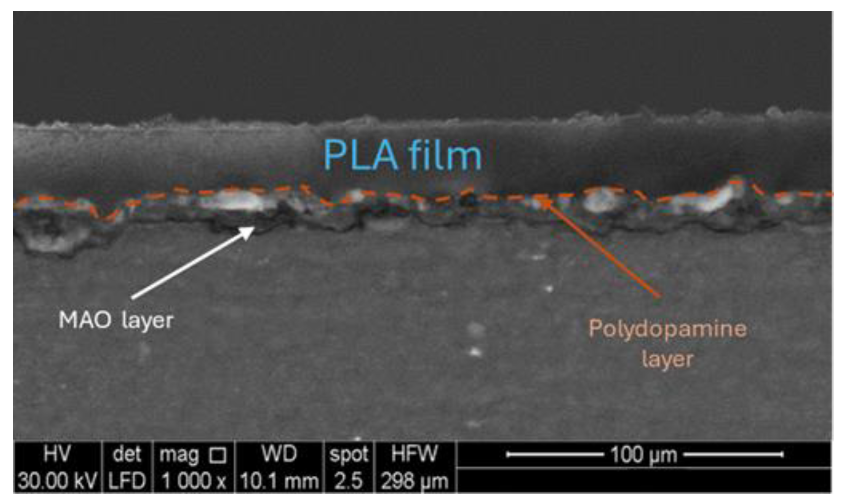 Preprints 144974 g007