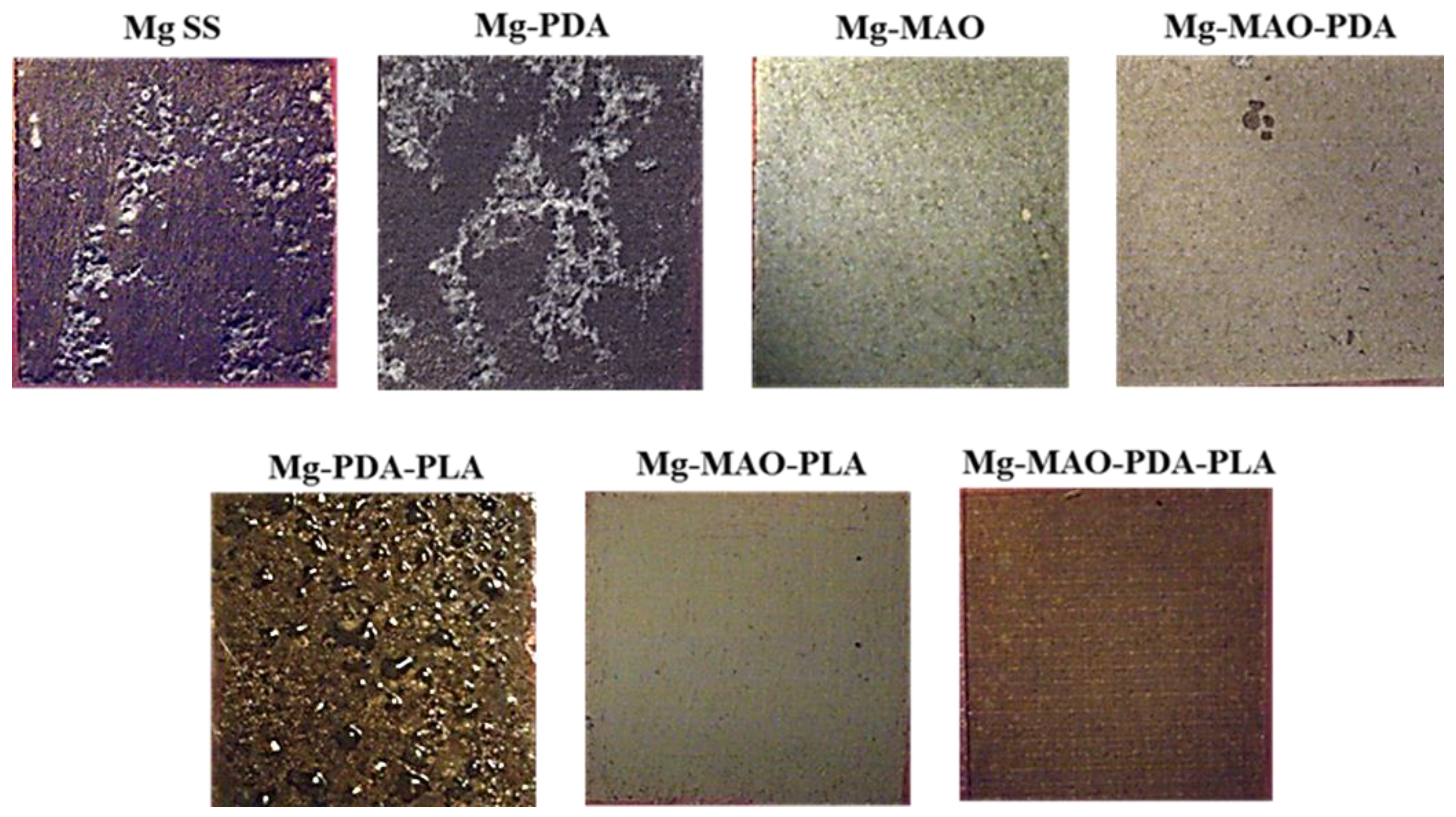 Preprints 144974 g016