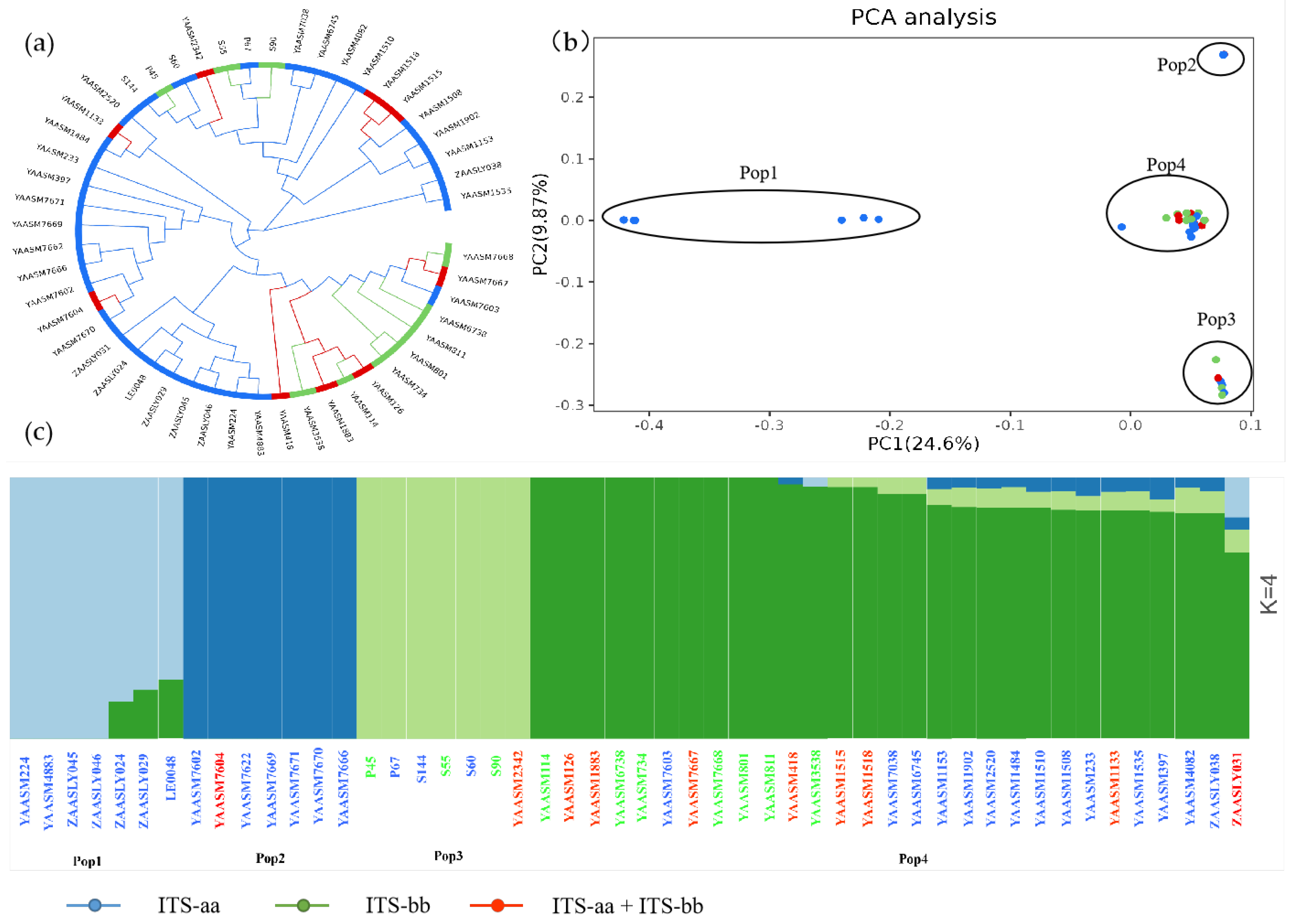 Preprints 227859 g003 Preprints 227859 g003