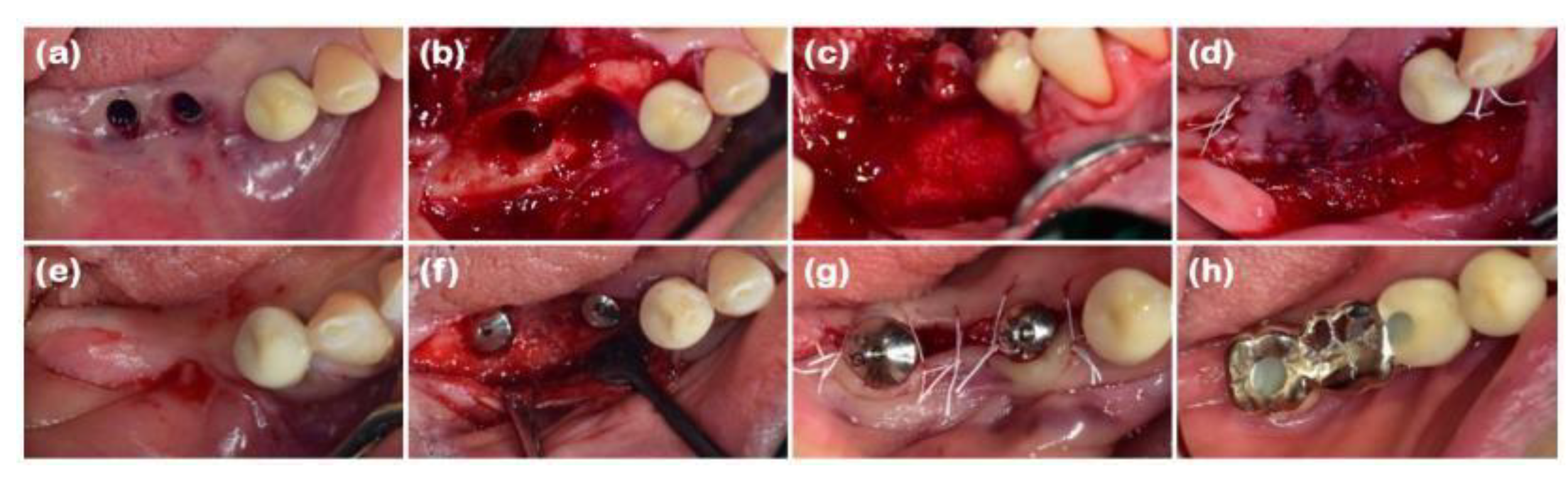 Preprints 138956 g007
