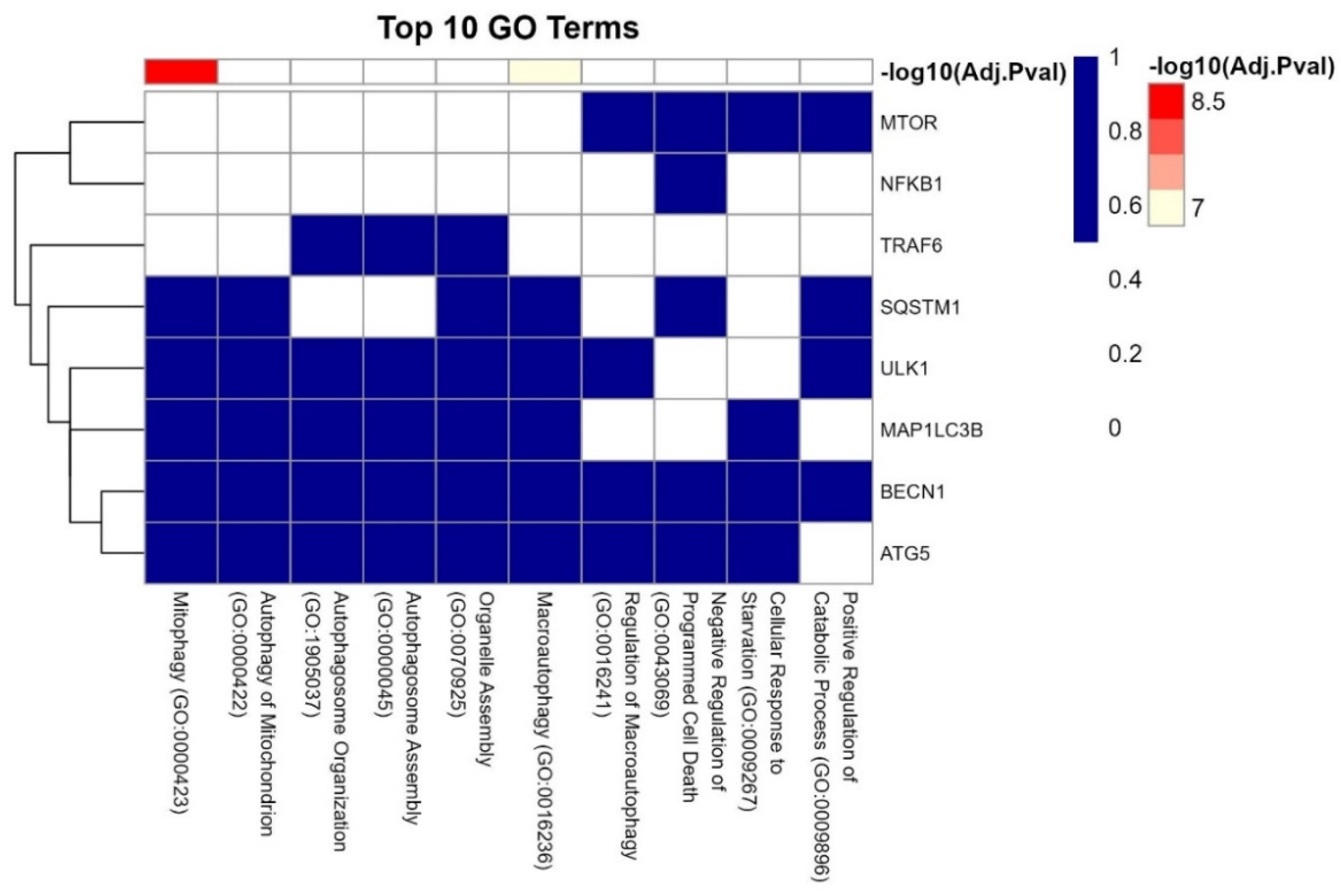 Preprints 178395 g011