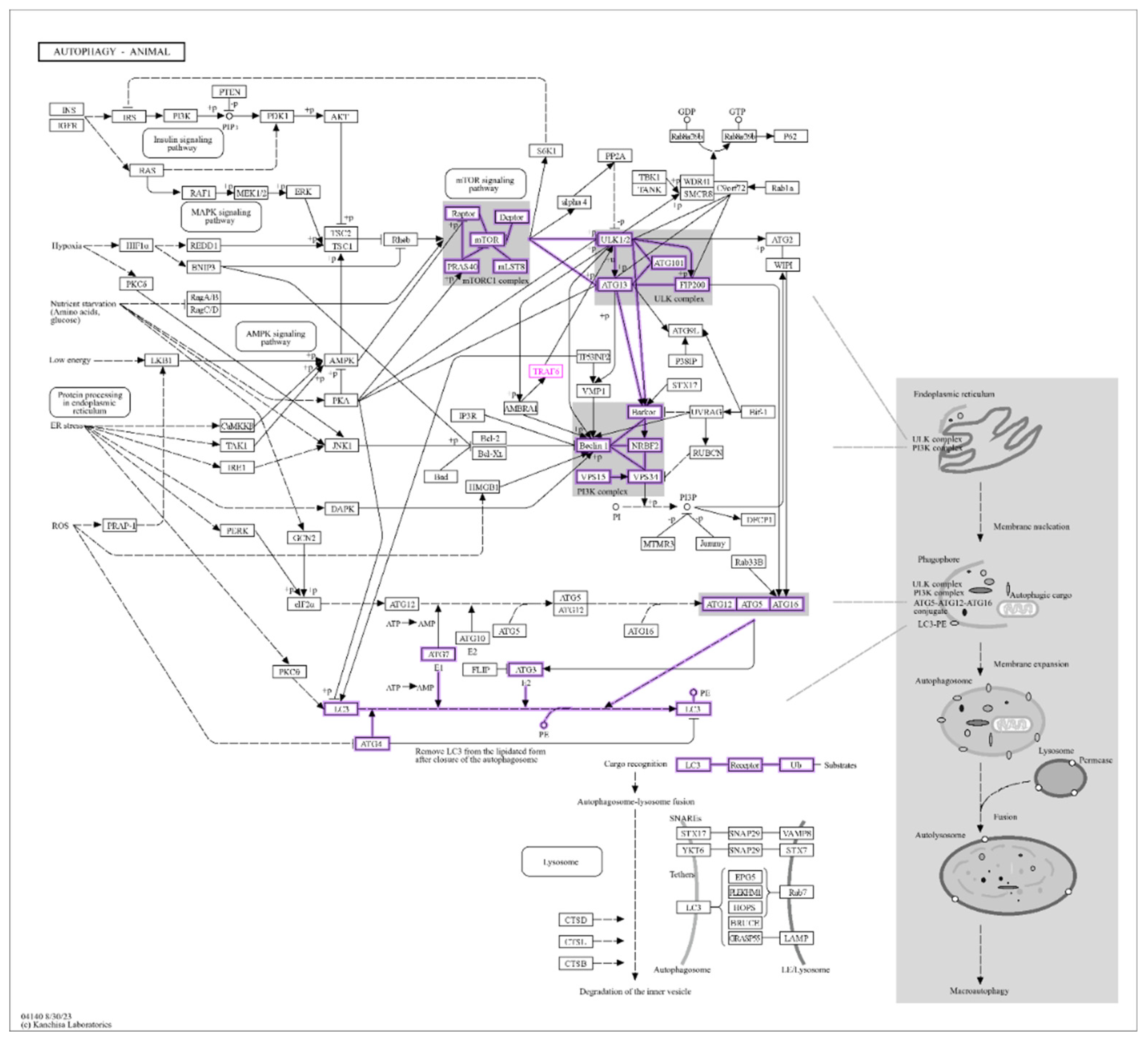 Preprints 178395 g012