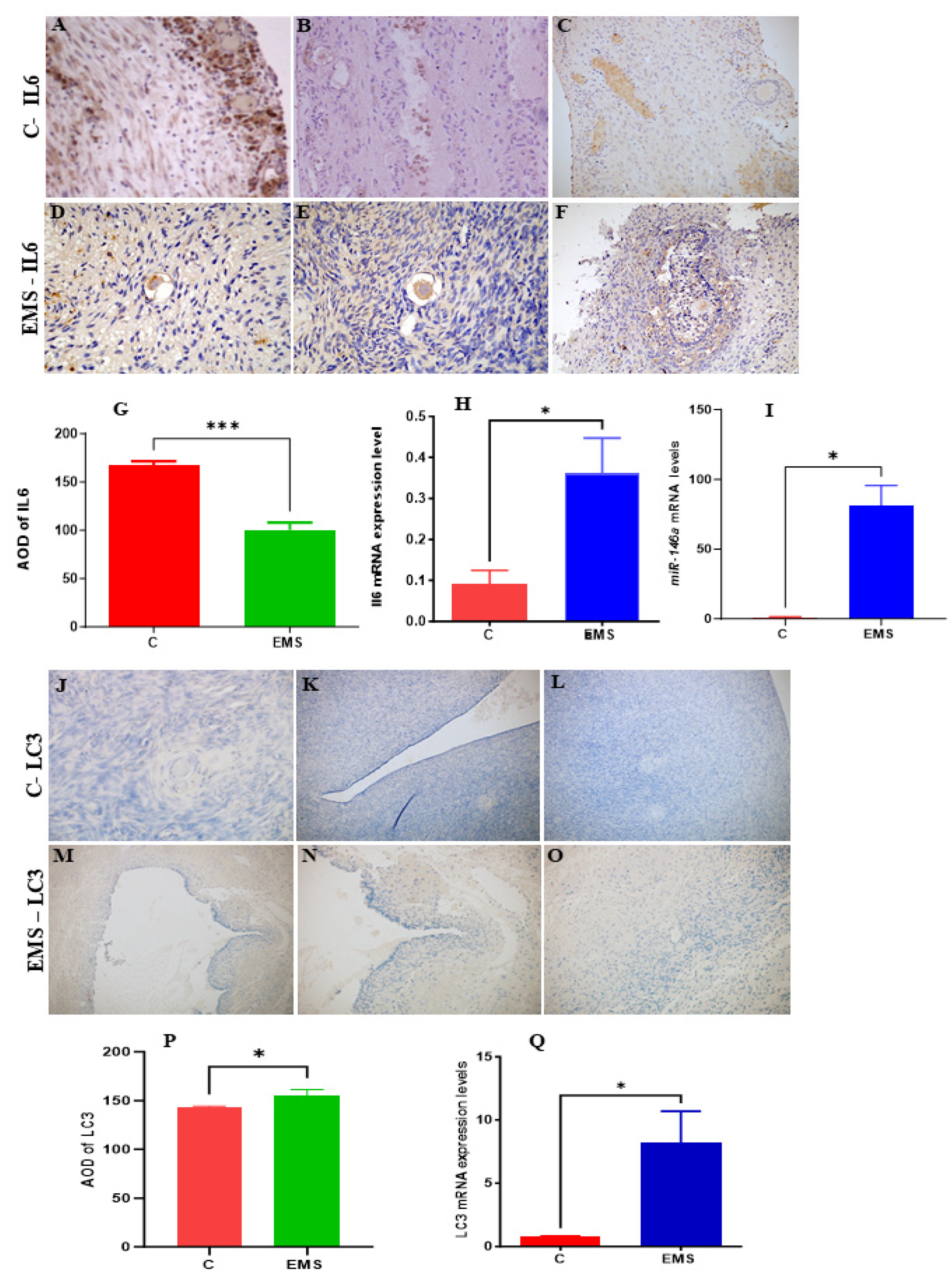 Preprints 178395 g014