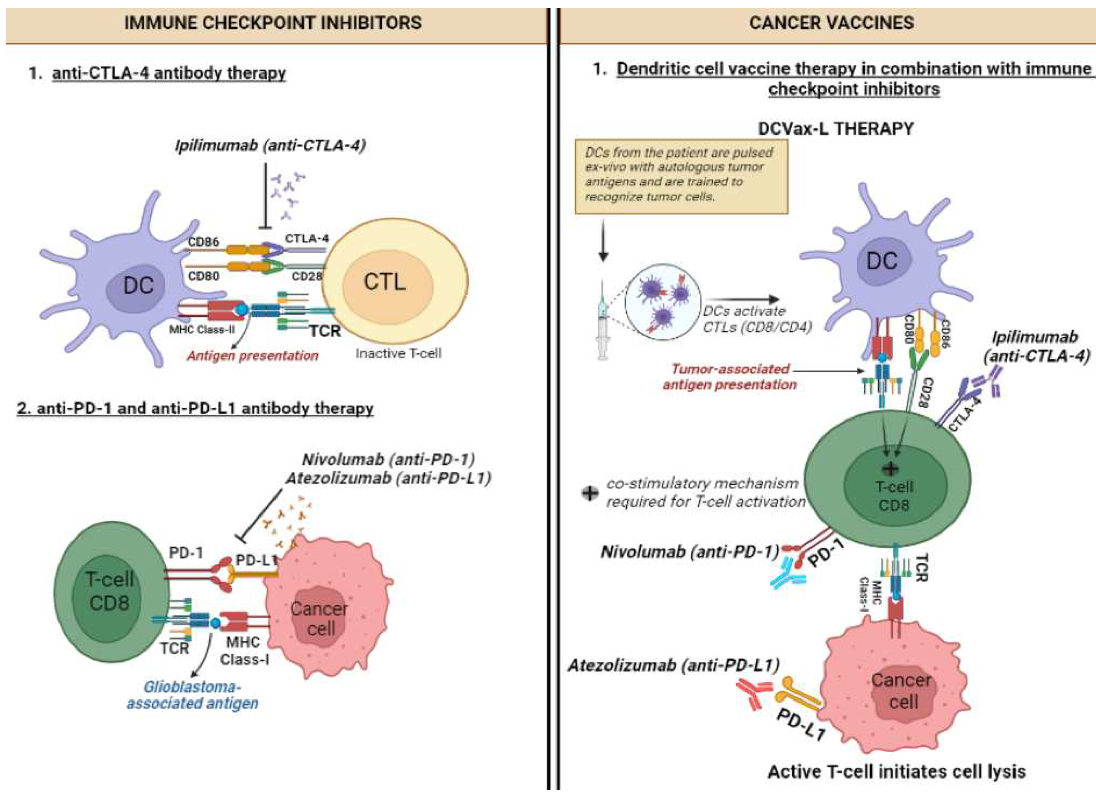 Preprints 78345 g001