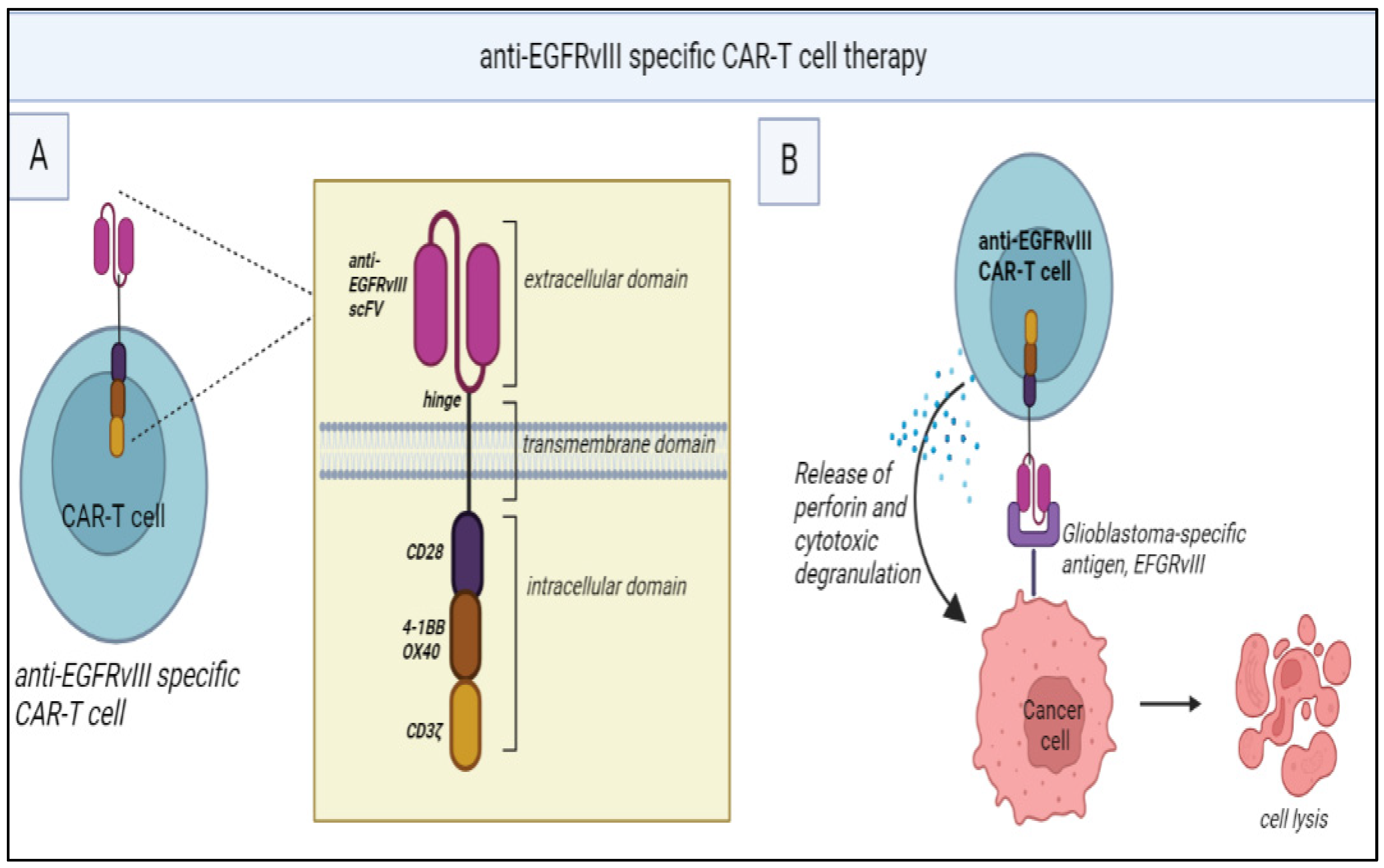 Preprints 78345 g002