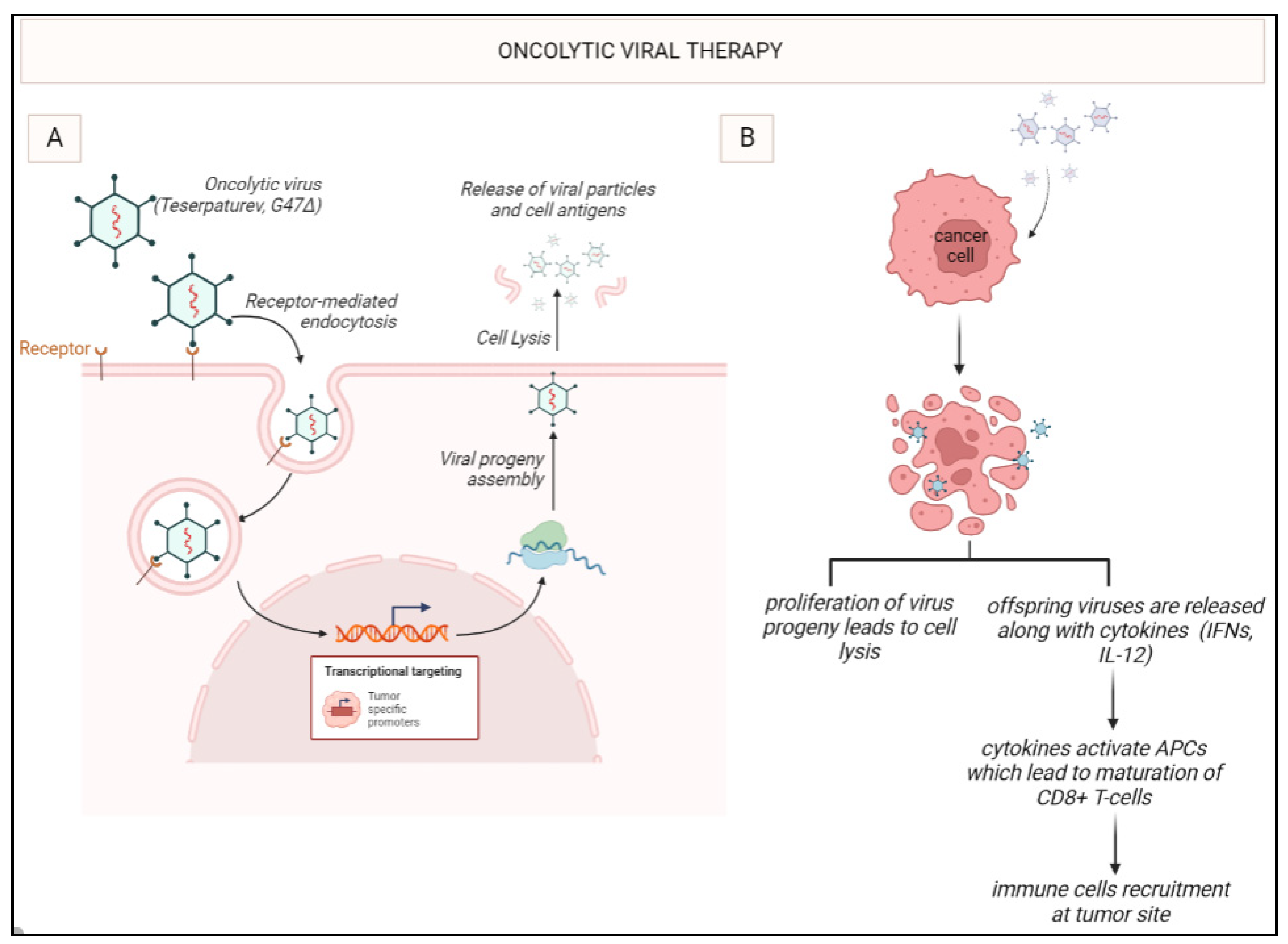 Preprints 78345 g003