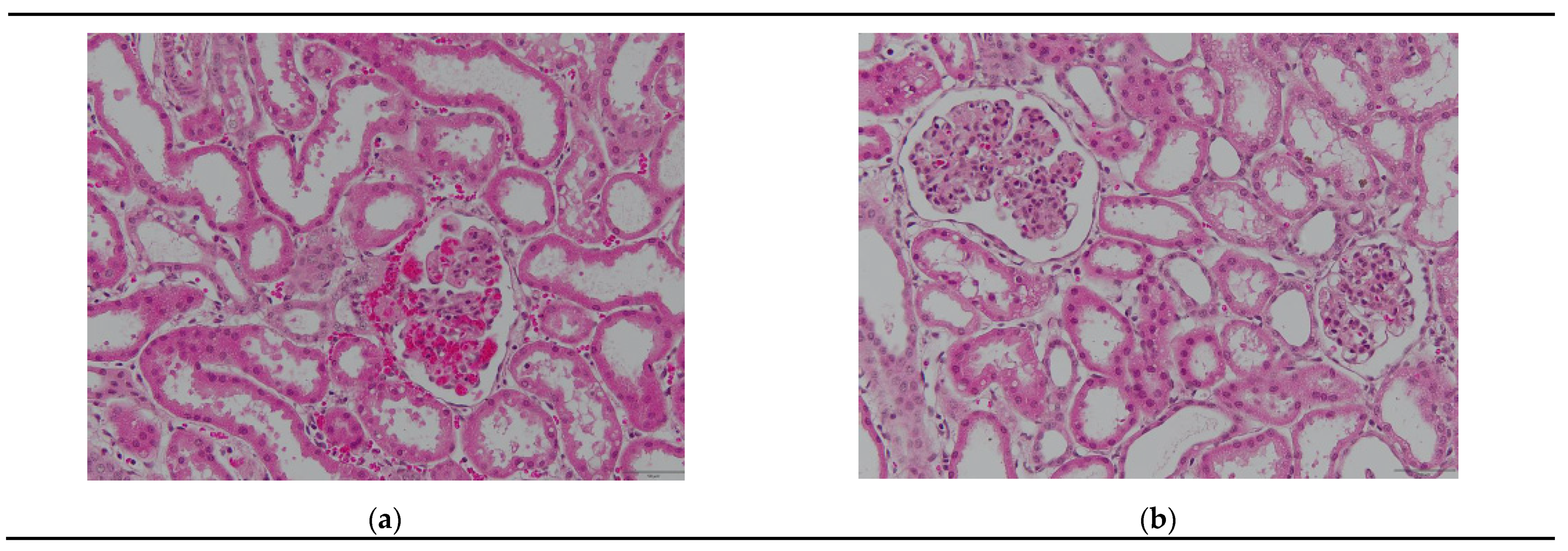 Preprints 138118 g002