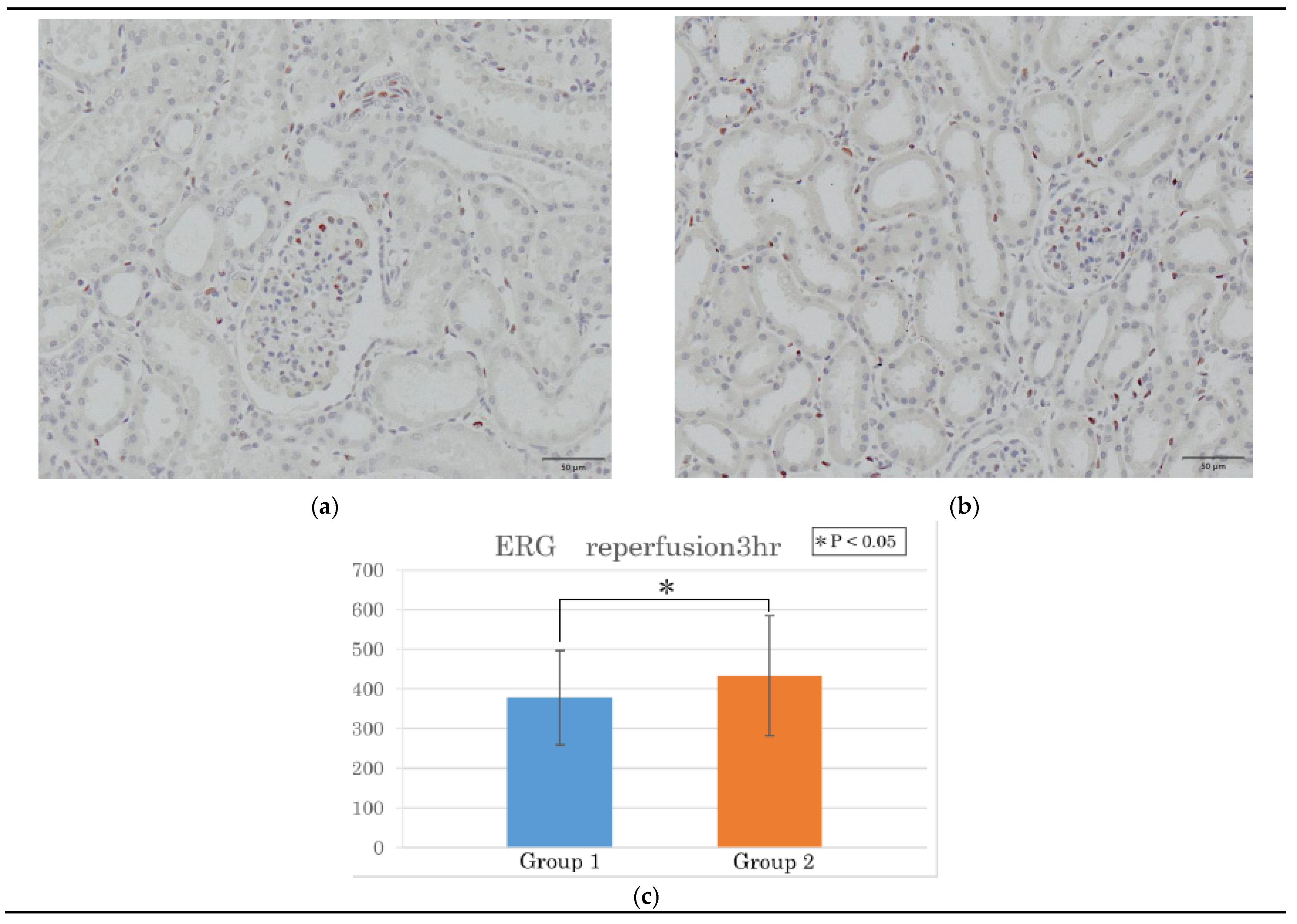 Preprints 138118 g003