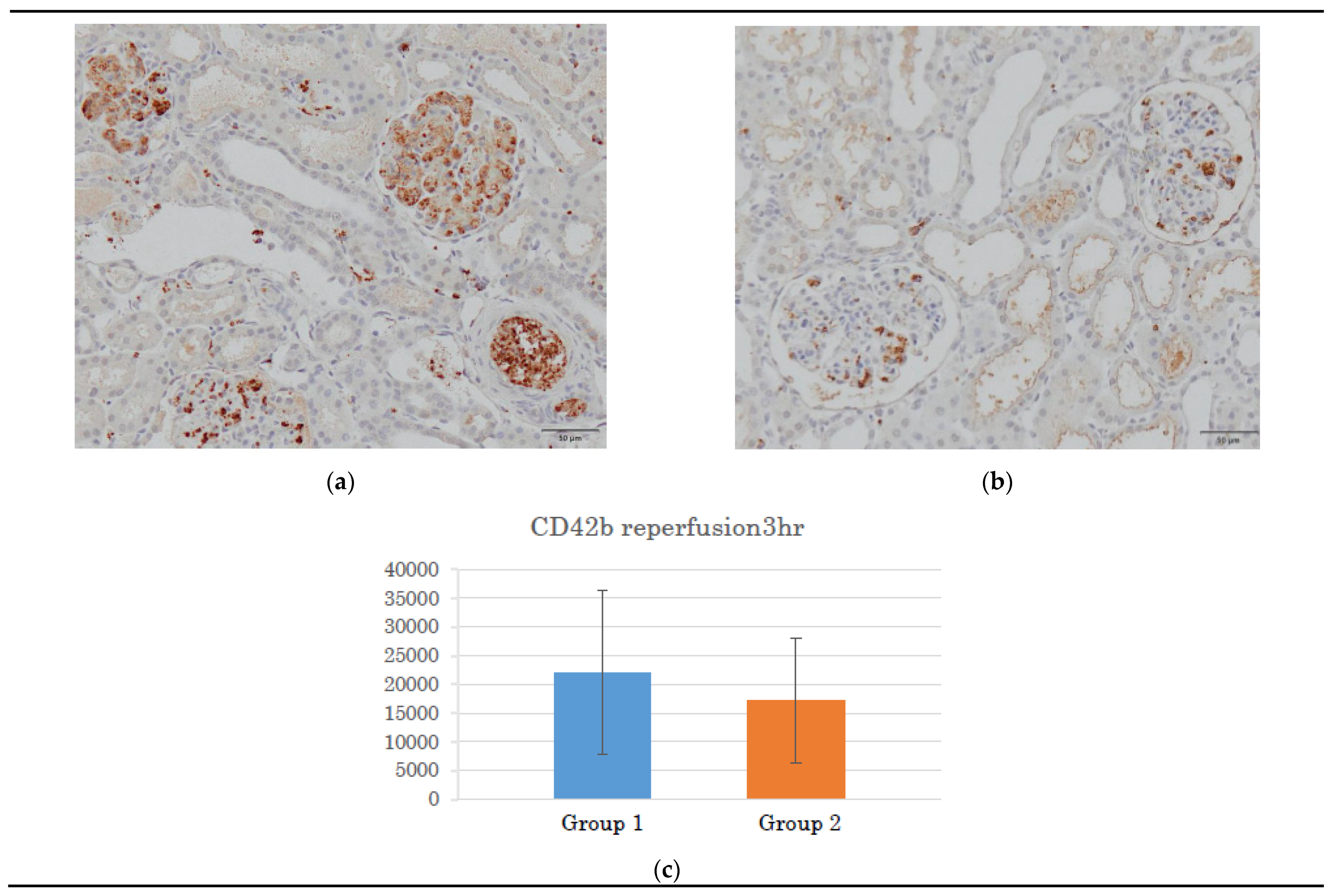 Preprints 138118 g004