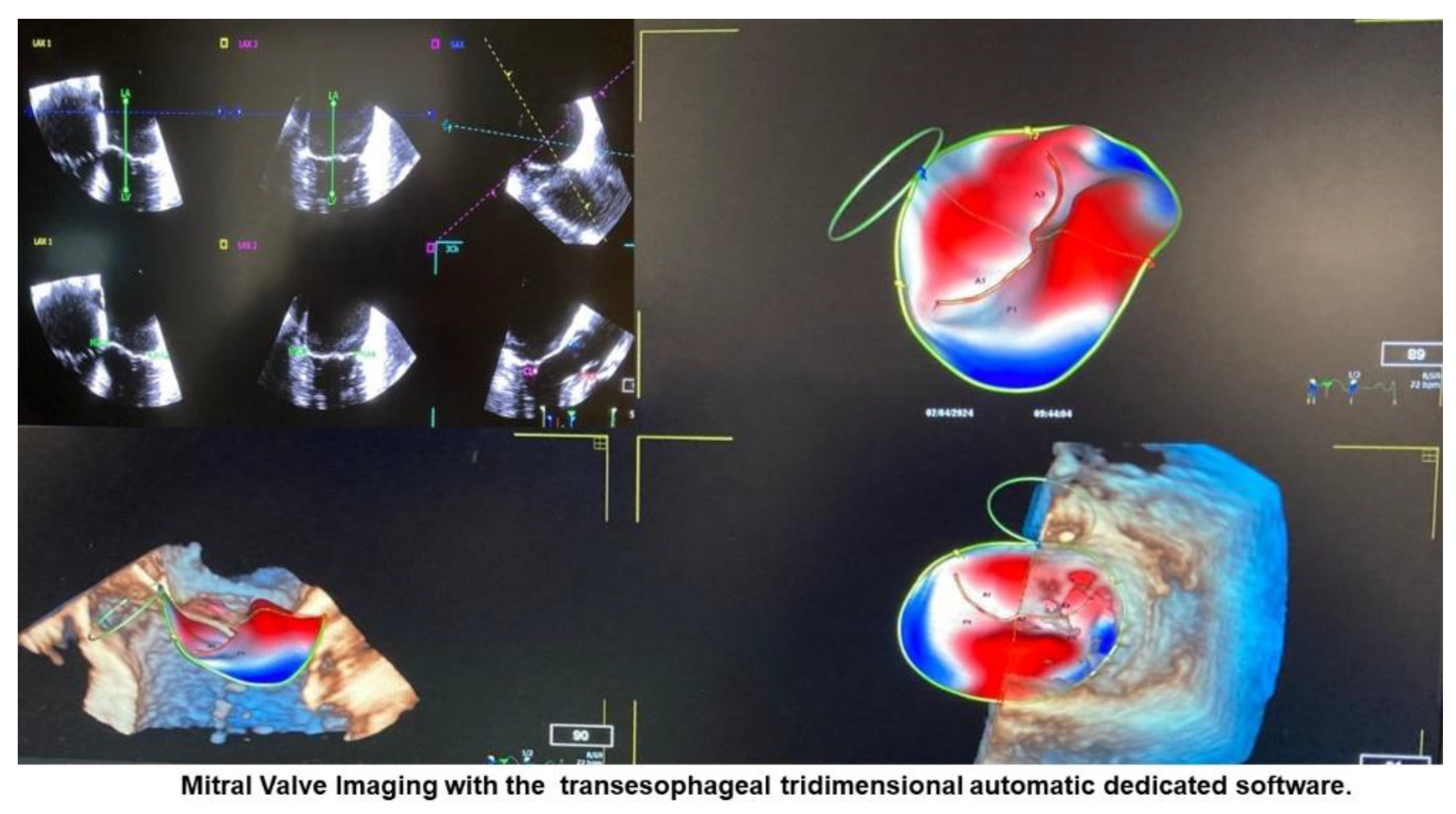 Preprints 192993 g001