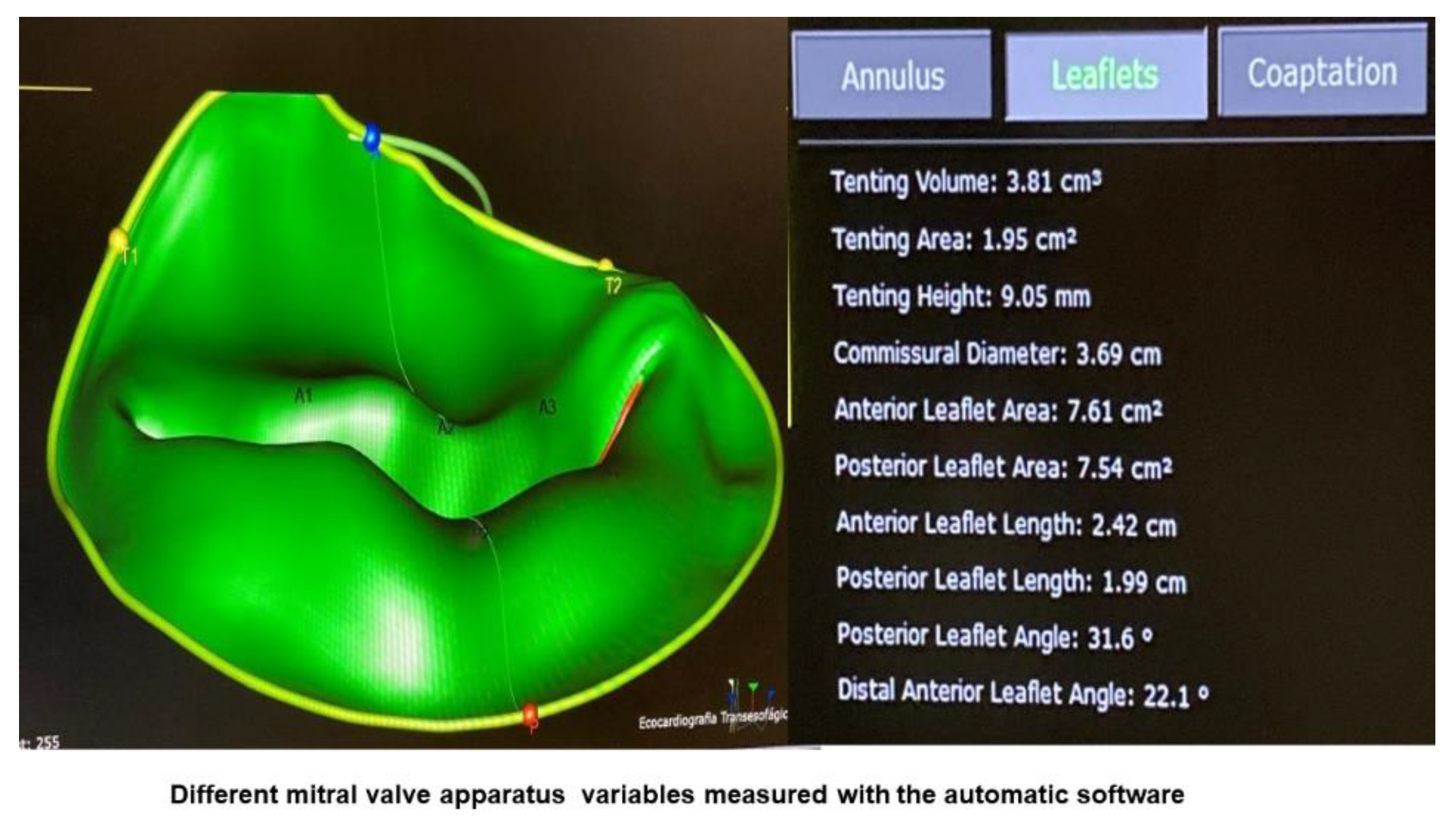 Preprints 192993 g002